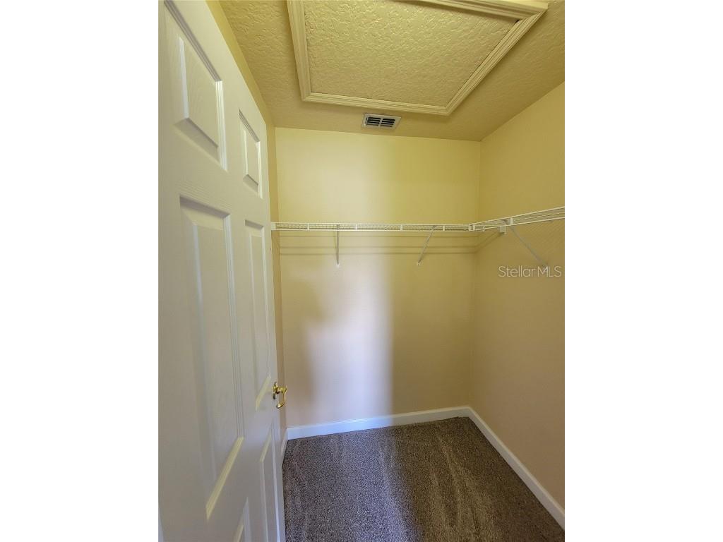 3145 Twisted Oak Loop Kissimmee FL 34744 O6359717 image84