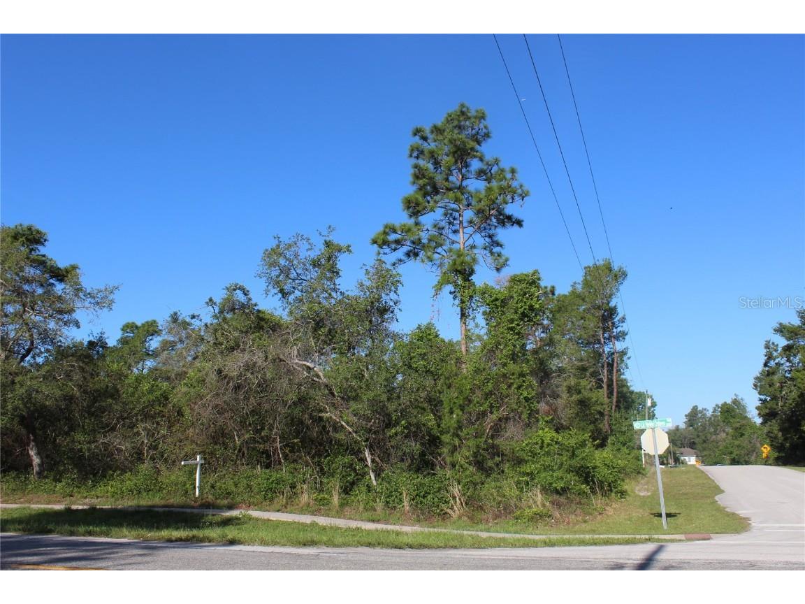 3145 Yorkshire Drive Deltona FL 32738 V4930096 image3