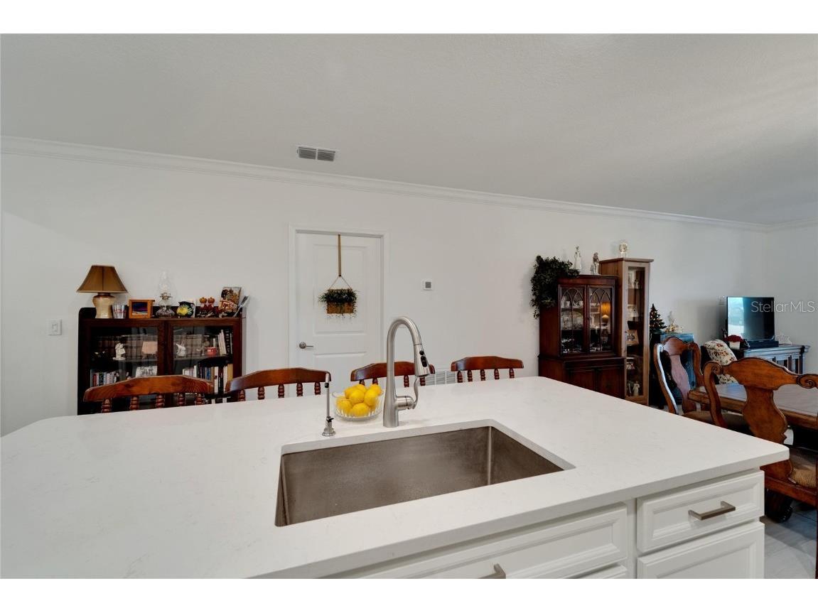 31451 Moniker Mast Lane San Antonio FL 33576 TB8331642 image14