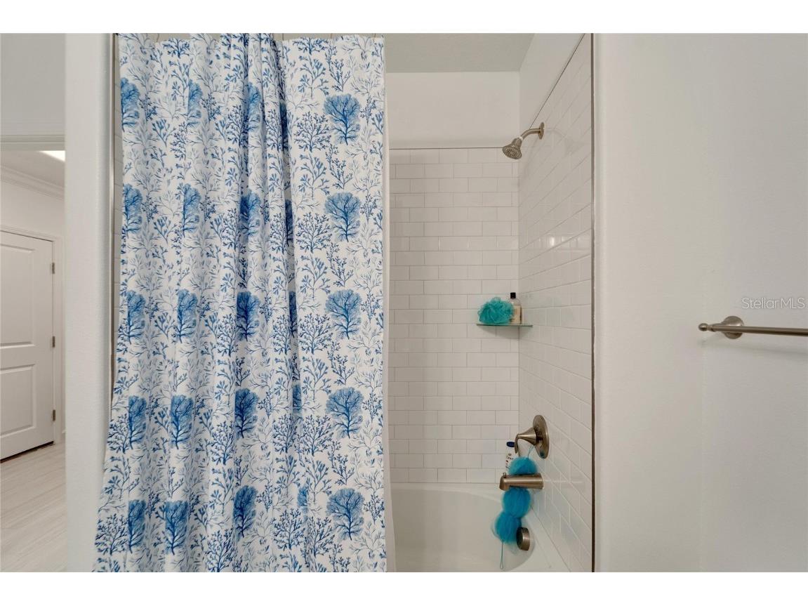 31451 Moniker Mast Lane San Antonio FL 33576 TB8331642 image33