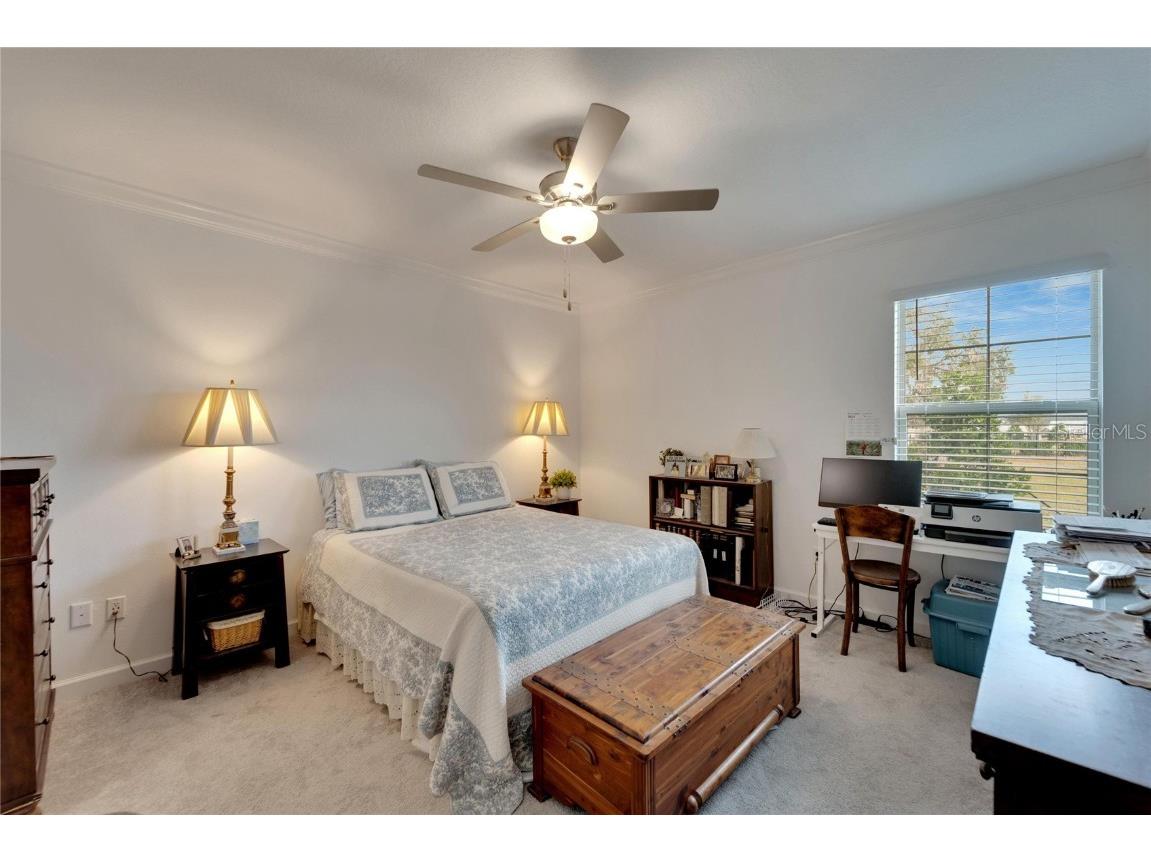 31451 Moniker Mast Lane San Antonio FL 33576 TB8331642 image38