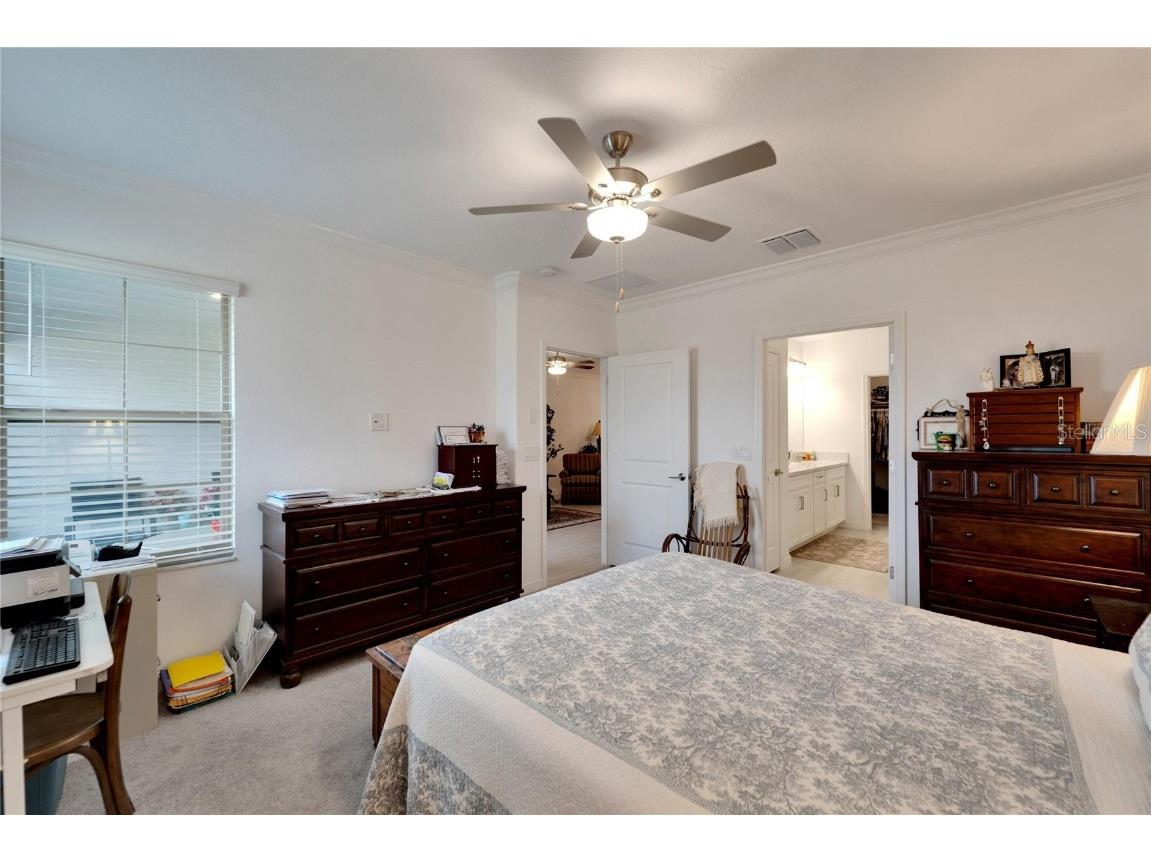 31451 Moniker Mast Lane San Antonio FL 33576 TB8331642 image39