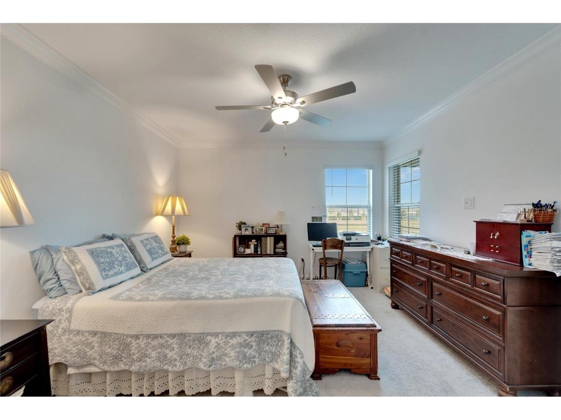 31451 Moniker Mast Lane San Antonio FL 33576 TB8331642 image42