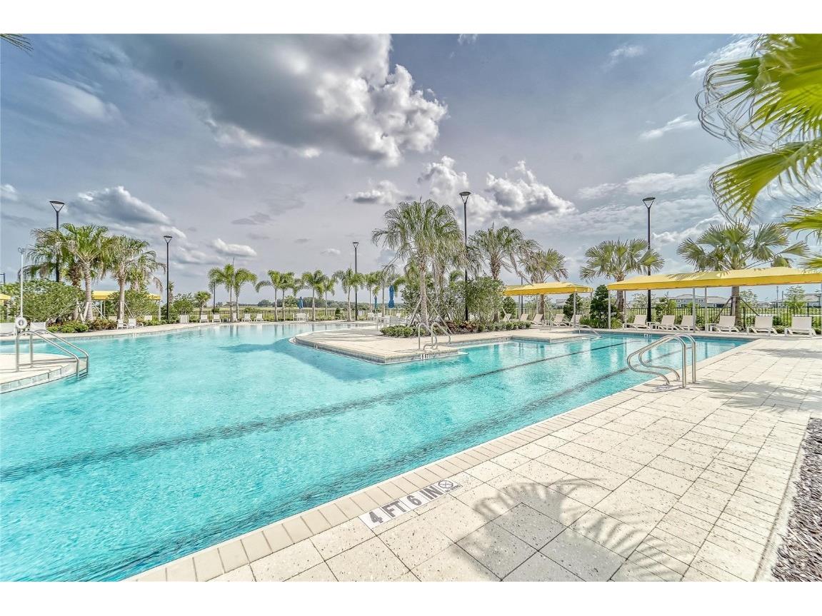 31451 Moniker Mast Lane San Antonio FL 33576 TB8331642 image65