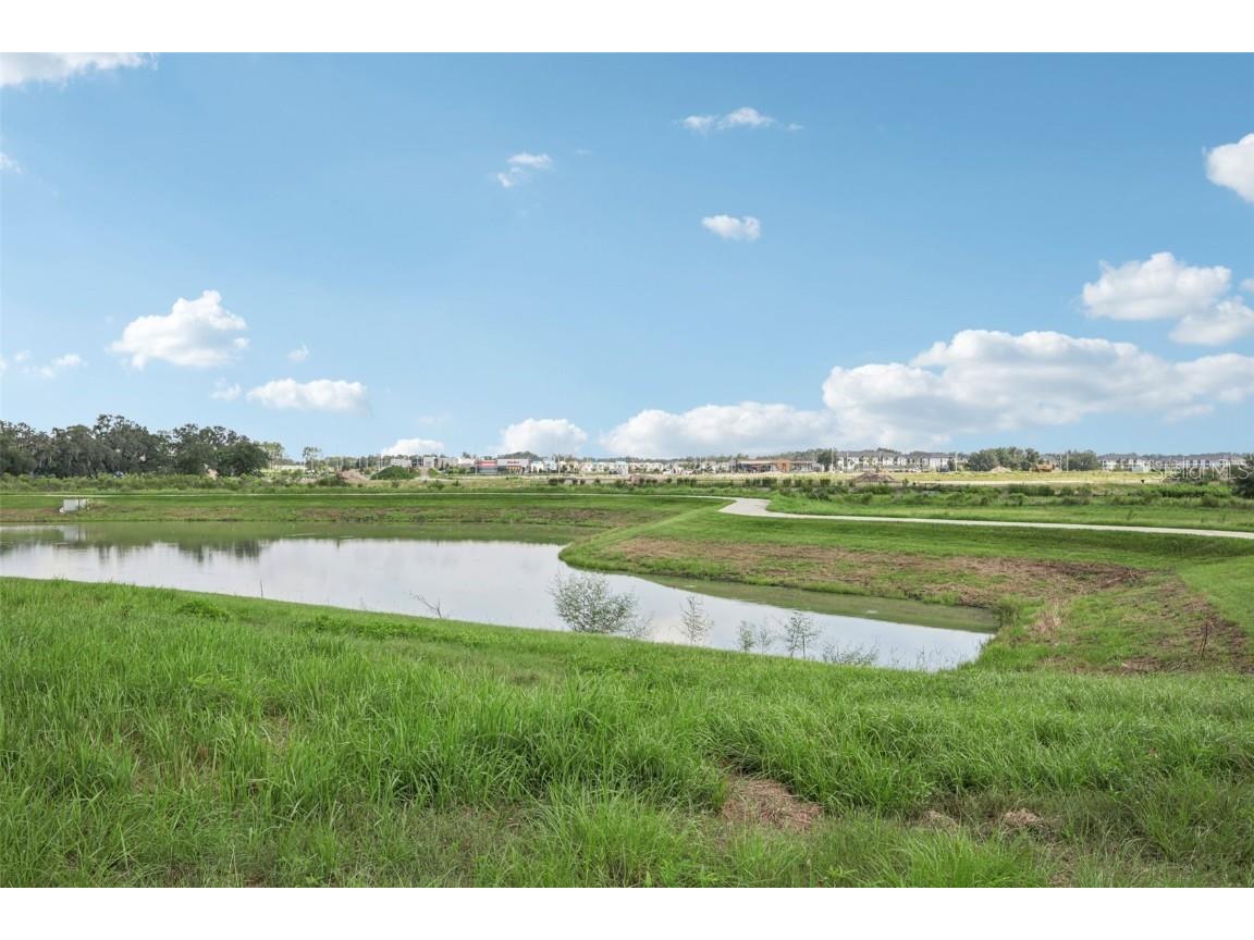 31451 Spanish Mission Road San Antonio FL 33576 TB8419307 image47