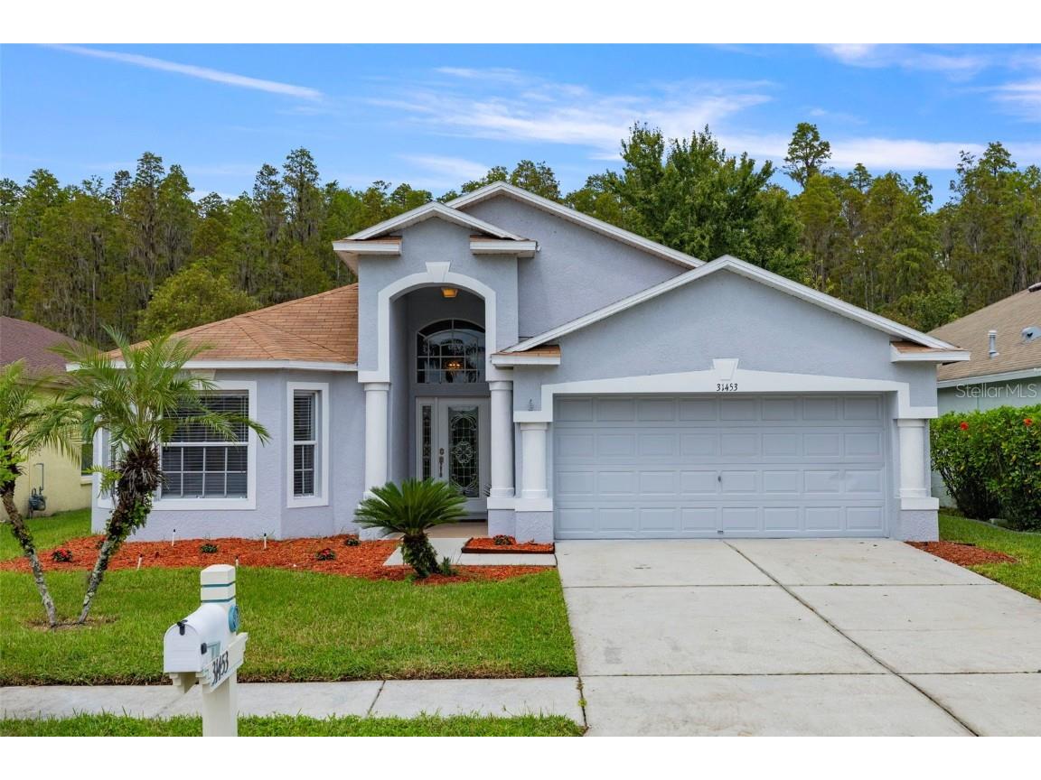 31453 Chatterly Drive Wesley Chapel FL 33543 T3549956 image1