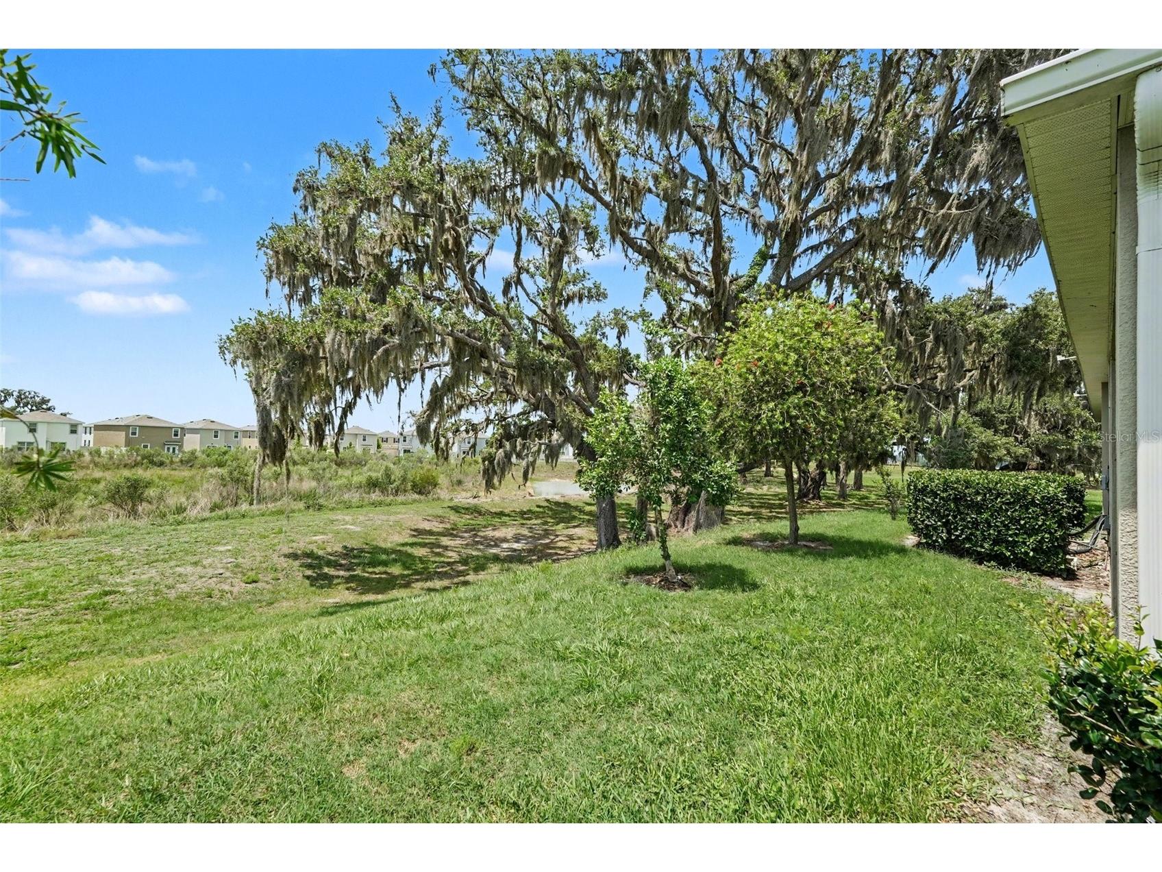 31457 Mango Fade Way San Antonio FL 33576 TB8513349 image29