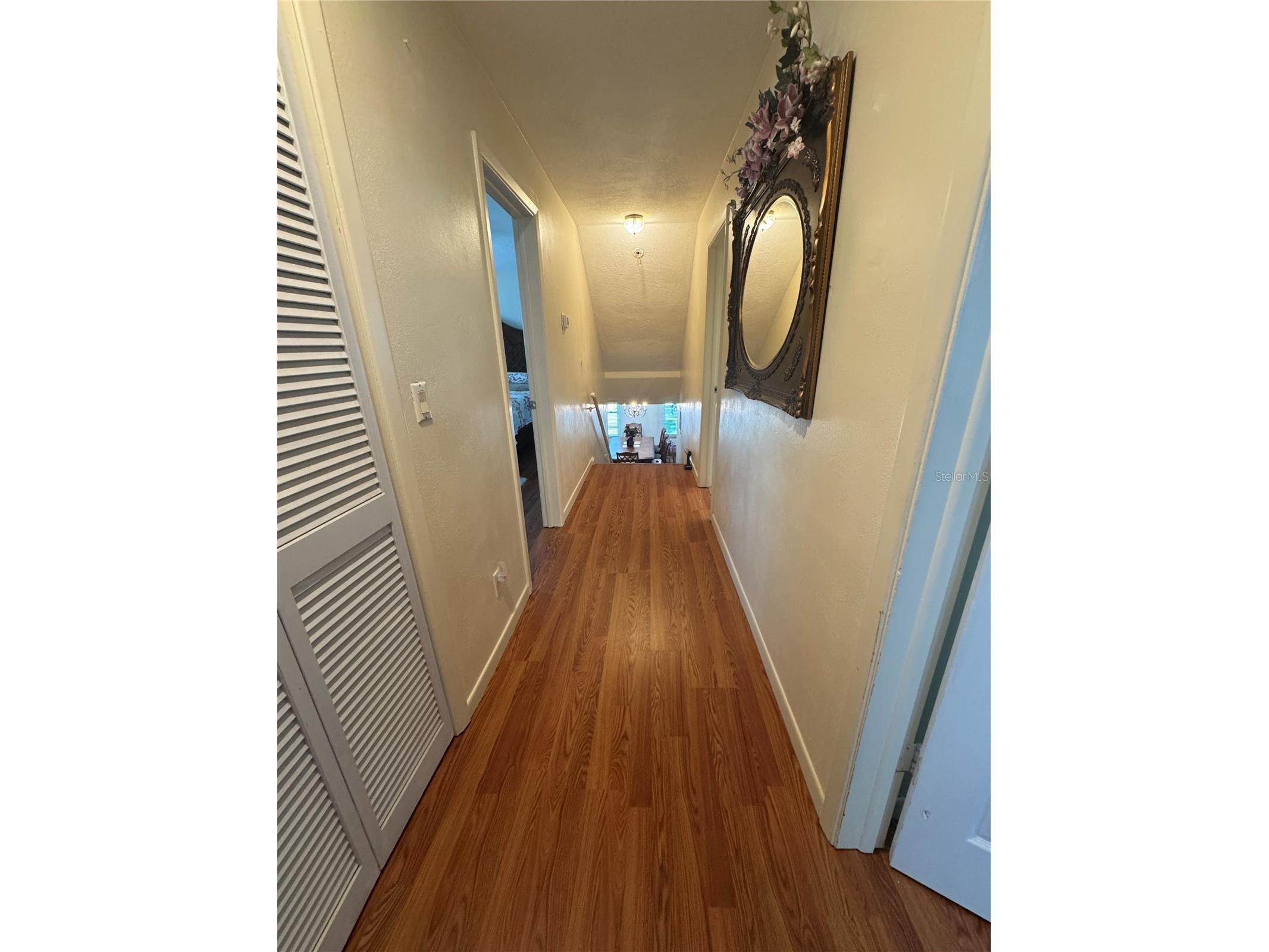 3146 Carlos Drive Dunedin FL 34698 TB8509592 image13