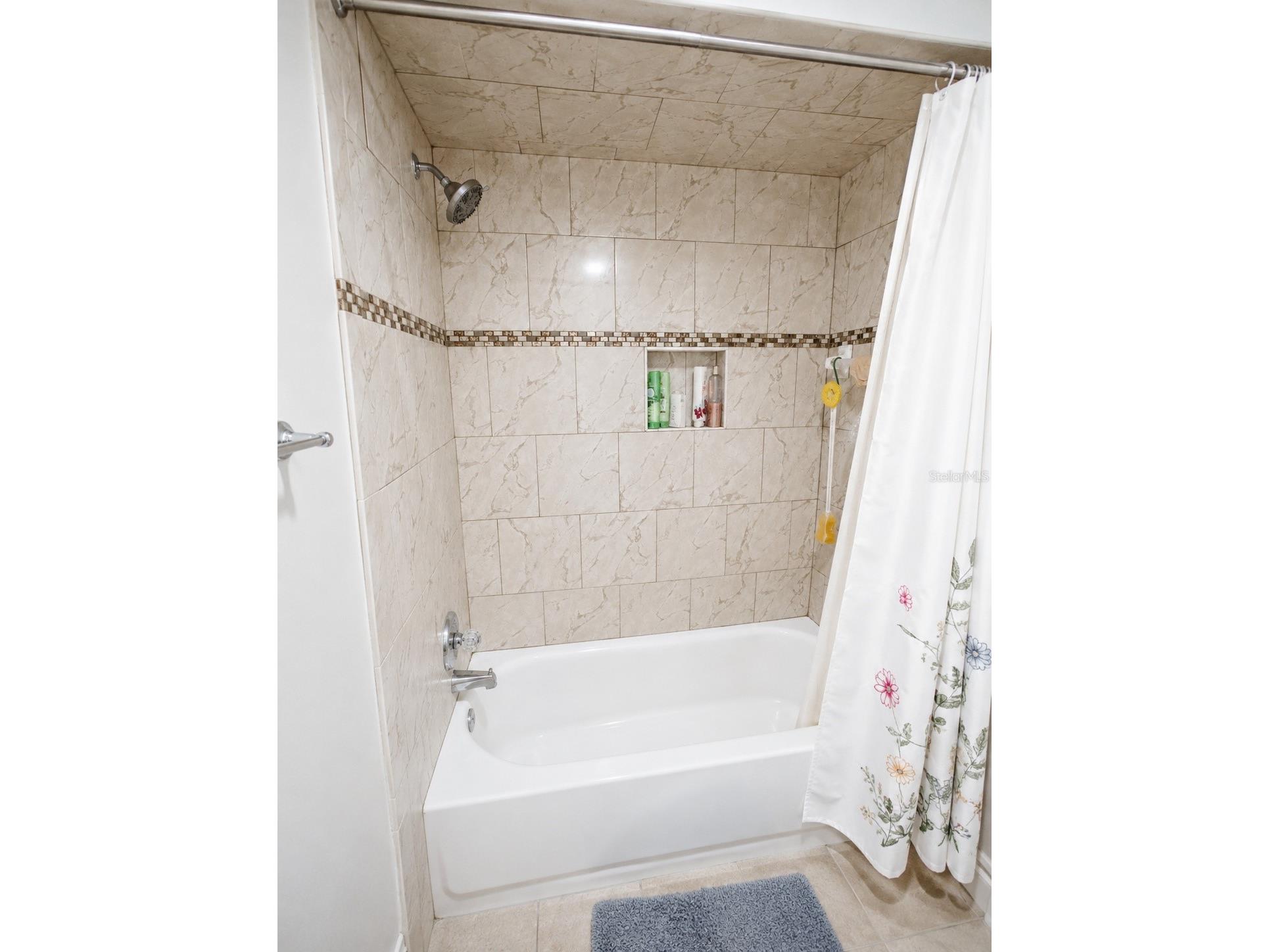 3146 Carlos Drive Dunedin FL 34698 TB8509592 image17