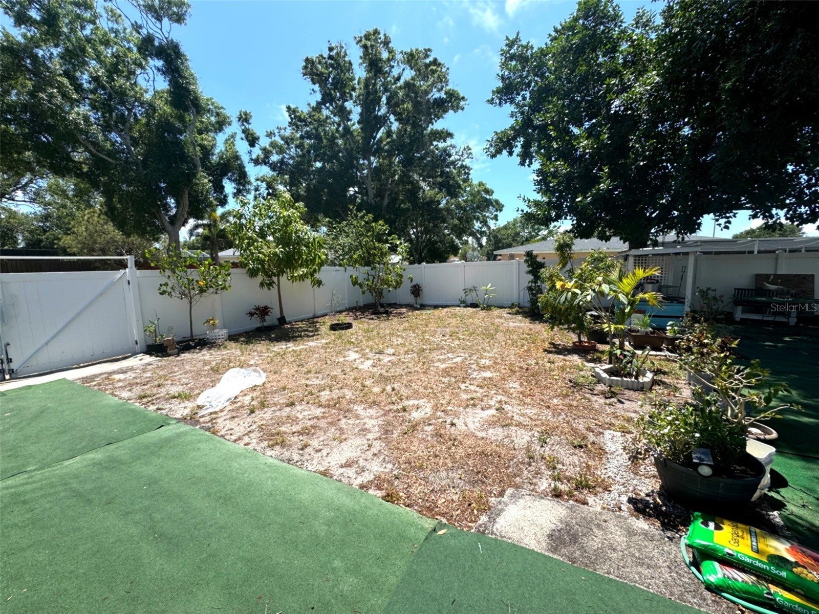 3146 Carlos Drive Dunedin FL 34698 TB8509592 image26