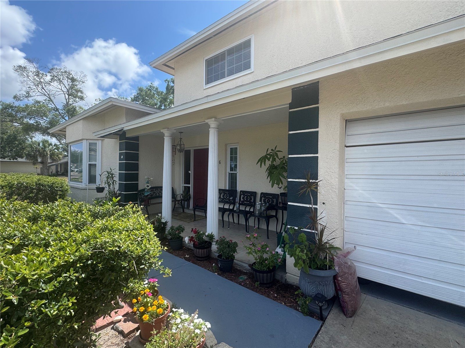 3146 Carlos Drive Dunedin FL 34698 TB8509592 image3