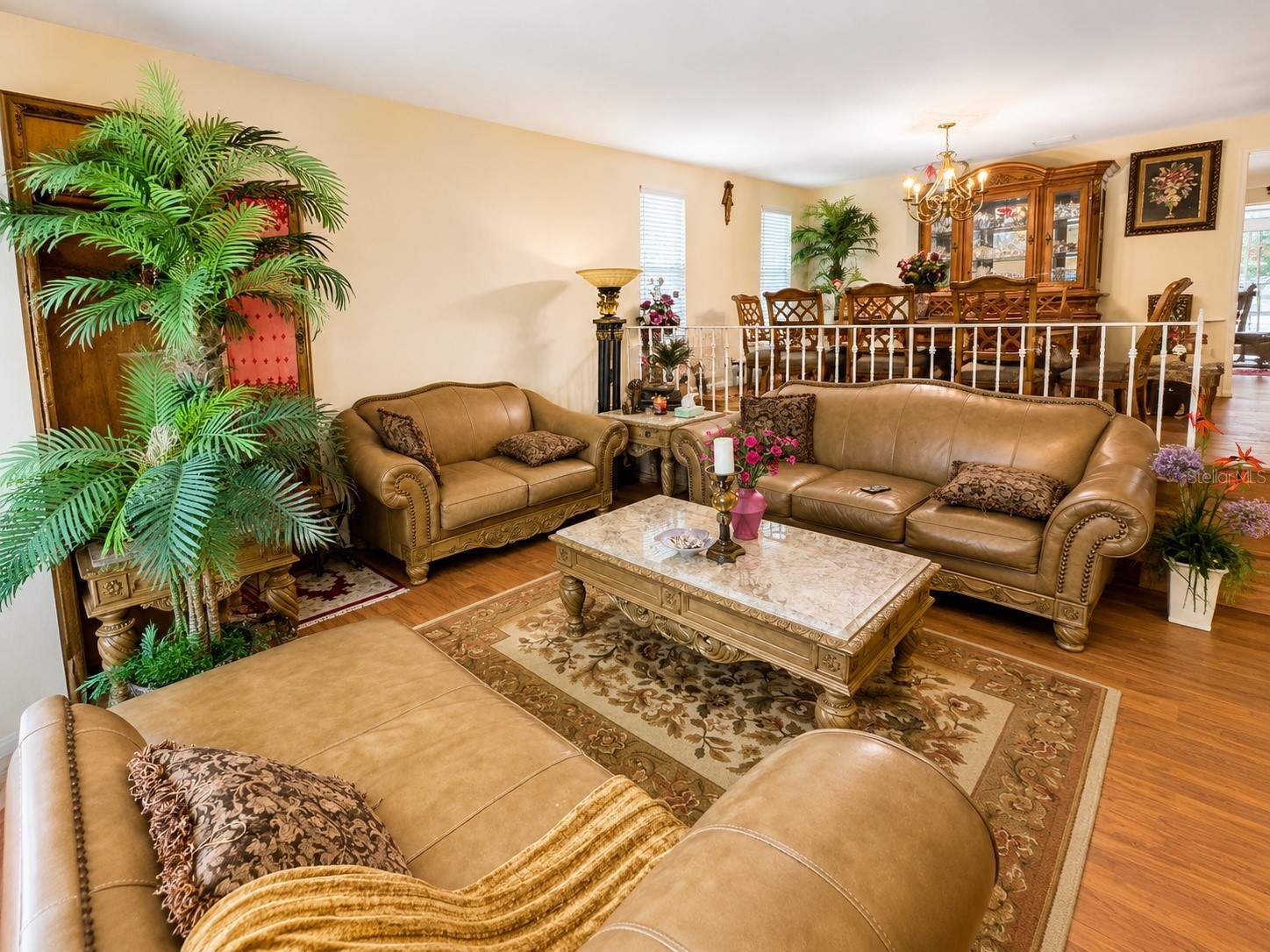 3146 Carlos Drive Dunedin FL 34698 TB8509592 image5