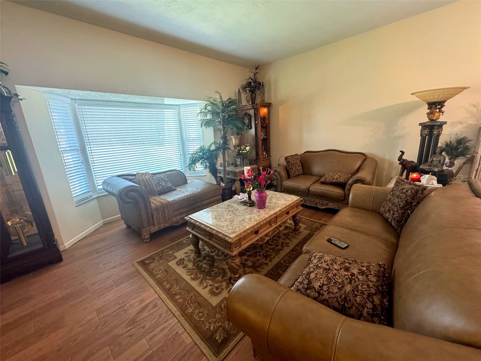 3146 Carlos Drive Dunedin FL 34698 TB8509592 image6