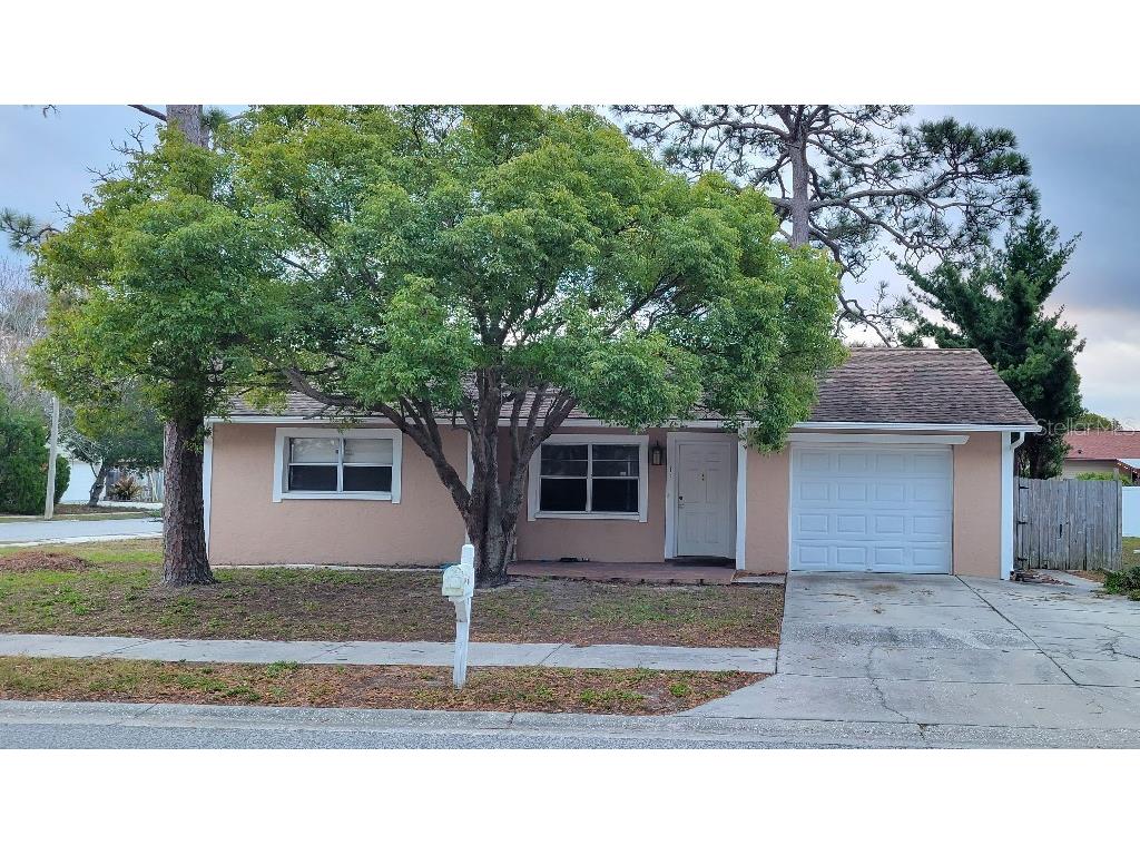 3146 Dole Street Holiday FL 34691 W7861644 image1