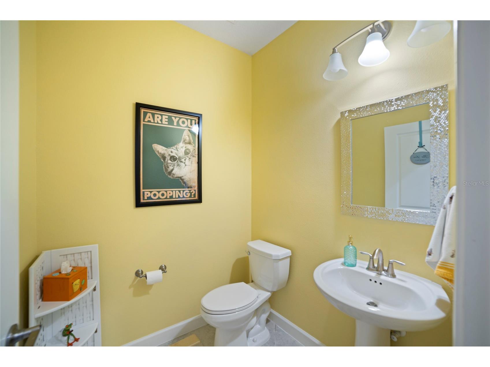 31467 Cannon Rush Drive San Antonio FL 33576 TB8515806 image4