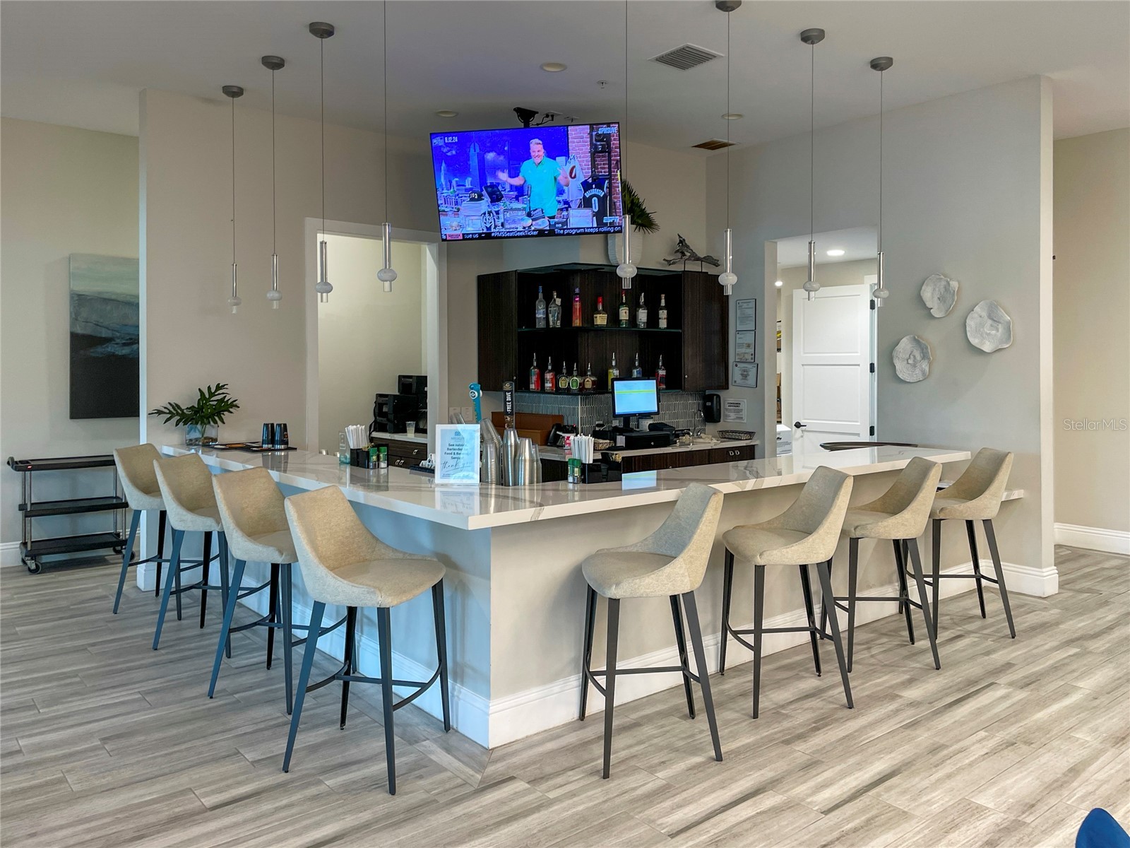 31467 Cannon Rush Drive San Antonio FL 33576 TB8515806 image40