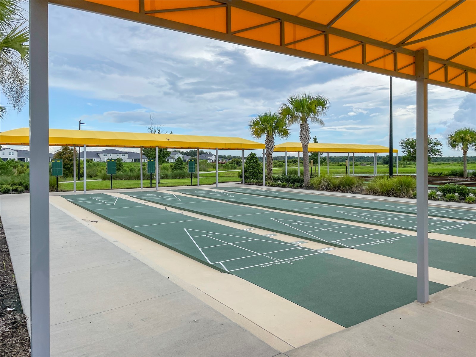 31467 Cannon Rush Drive San Antonio FL 33576 TB8515806 image43