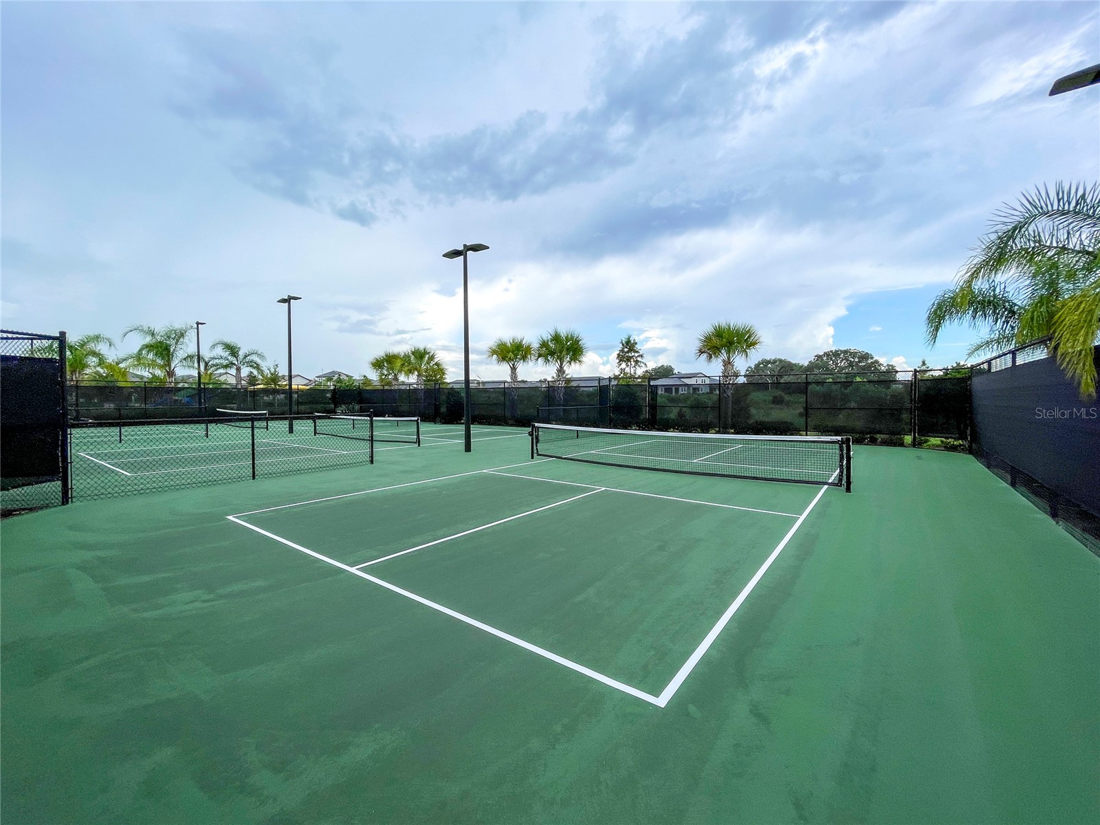 31467 Cannon Rush Drive San Antonio FL 33576 TB8515806 image46