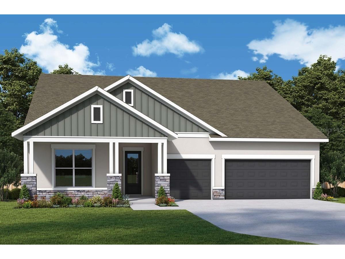 31467 Hayman Loop Wesley Chapel FL 33545 TB8481612 image1