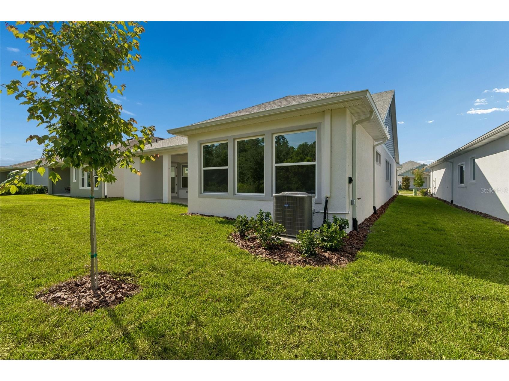 31467 Hayman Loop Wesley Chapel FL 33545 TB8481612 image16