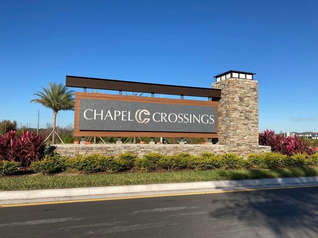 31467 Hayman Loop Wesley Chapel FL 33545 TB8481612 image29