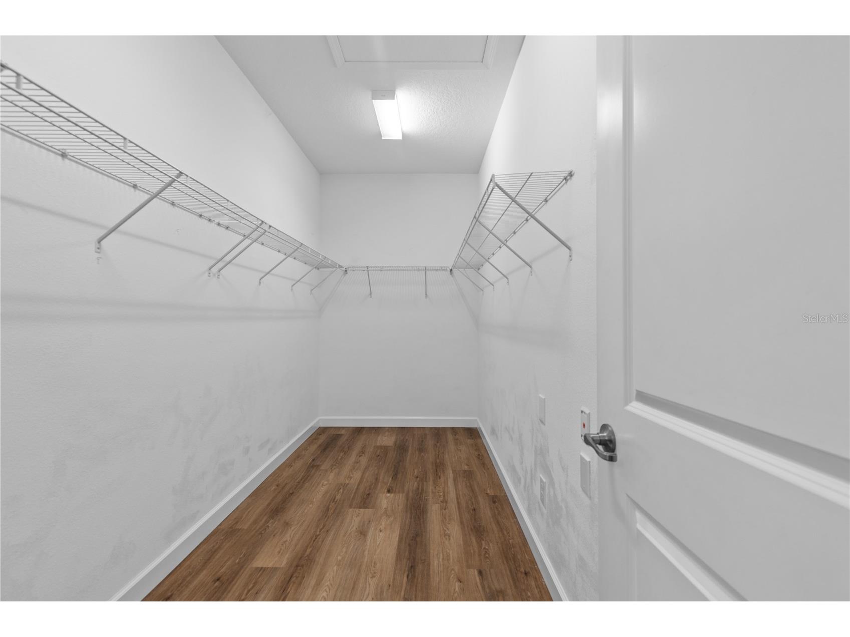 3147 Calvano Drive Land O Lakes FL 34639 TB8521177 image18