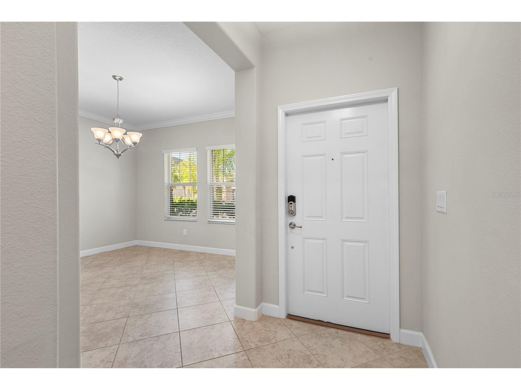 3147 Calvano Drive Land O Lakes FL 34639 TB8521177 image2
