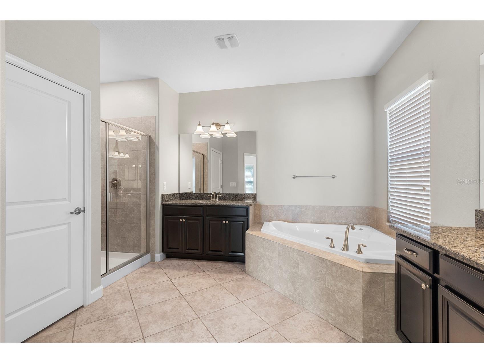 3147 Calvano Drive Land O Lakes FL 34639 TB8521177 image20