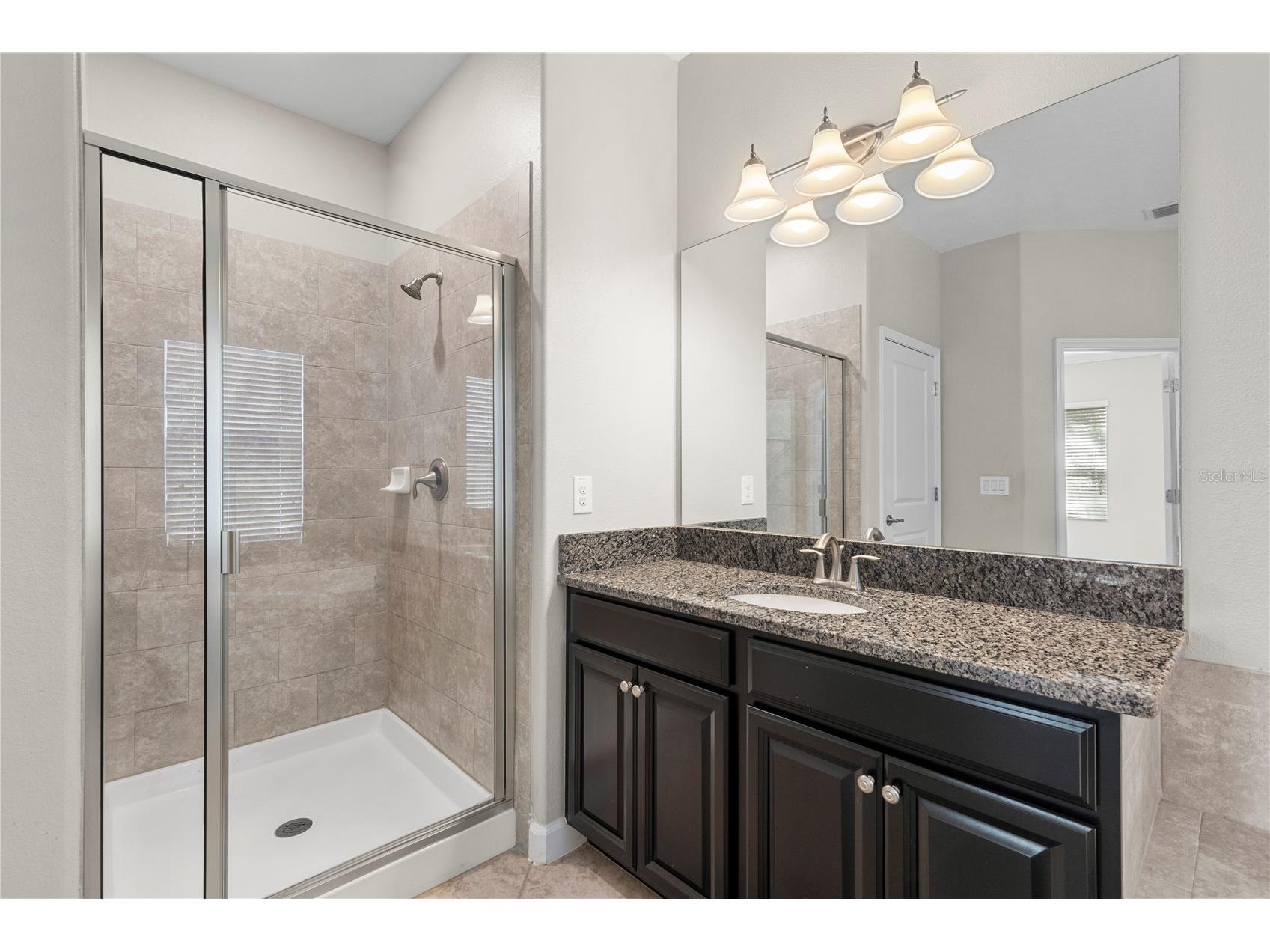 3147 Calvano Drive Land O Lakes FL 34639 TB8521177 image22