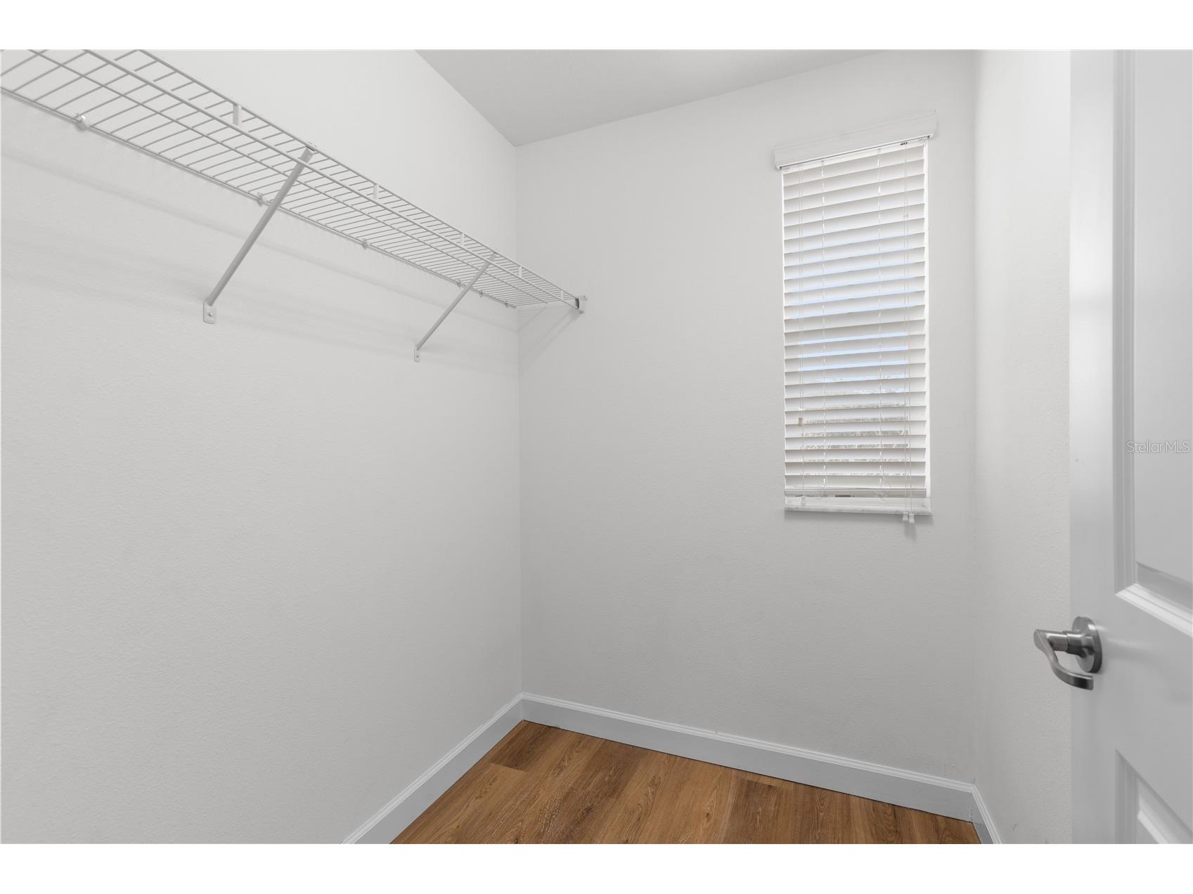 3147 Calvano Drive Land O Lakes FL 34639 TB8521177 image32