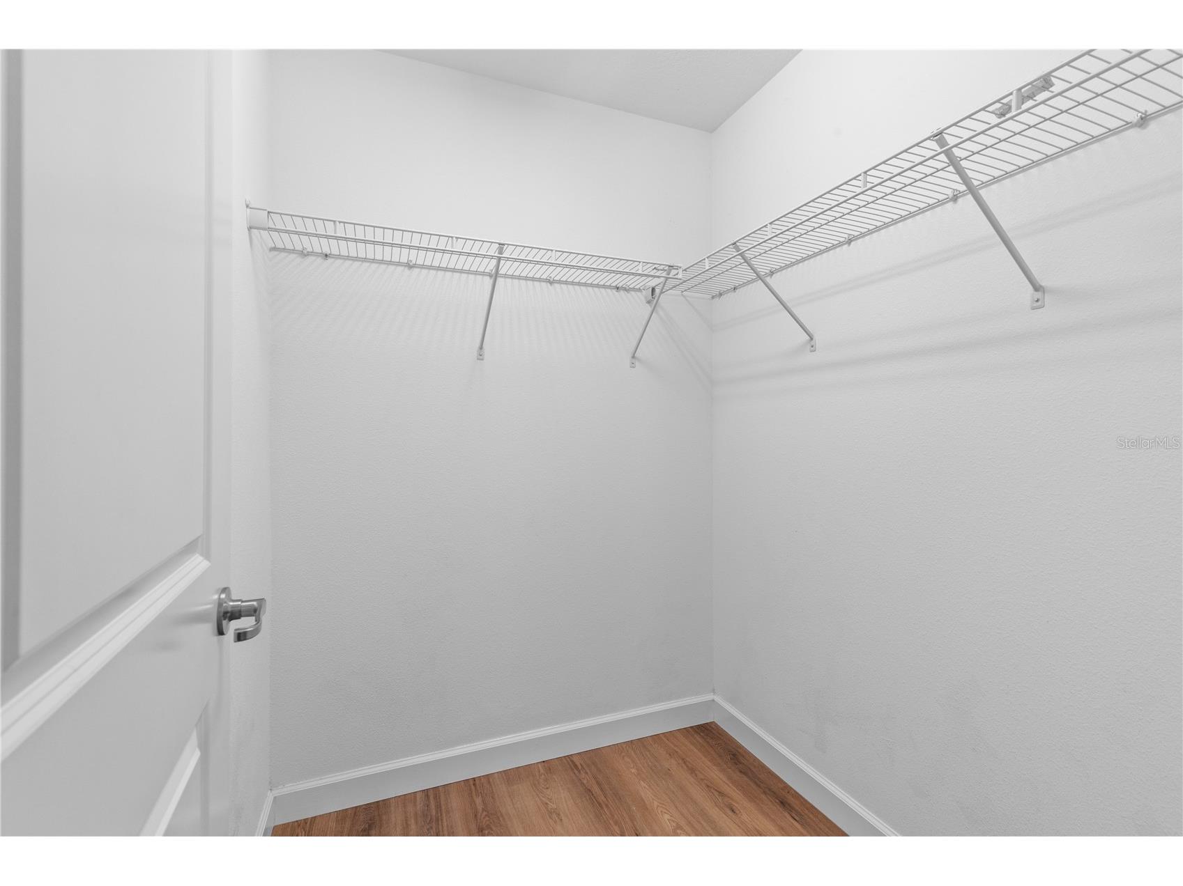 3147 Calvano Drive Land O Lakes FL 34639 TB8521177 image44