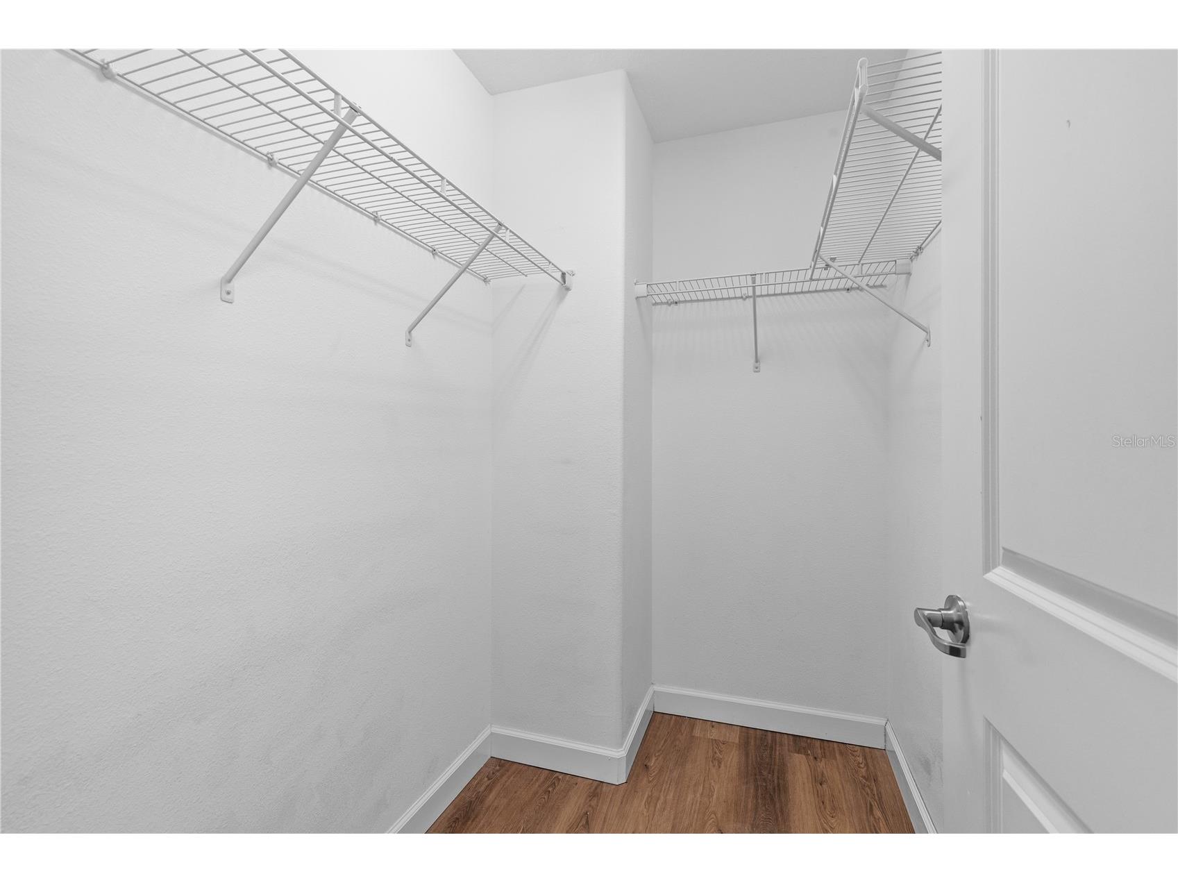 3147 Calvano Drive Land O Lakes FL 34639 TB8521177 image47