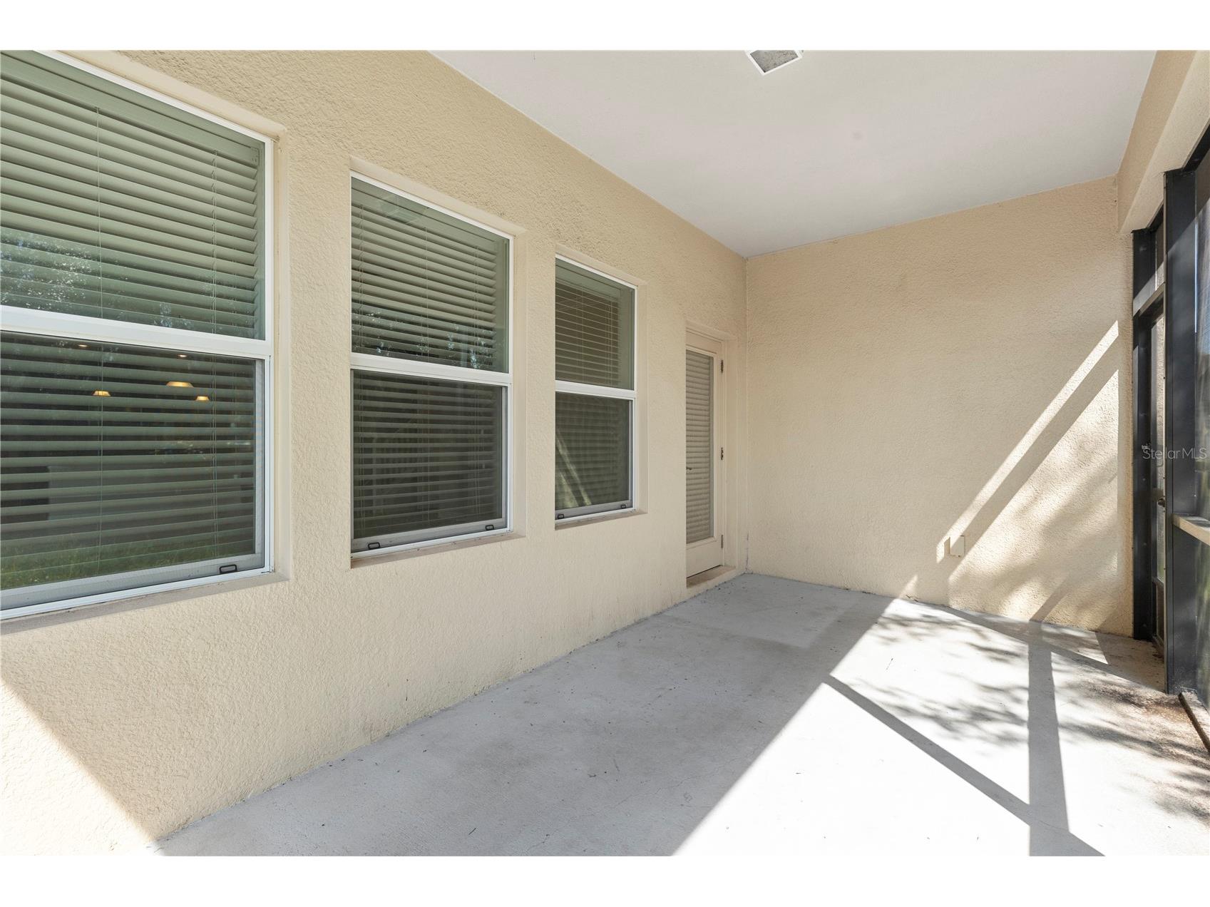 3147 Calvano Drive Land O Lakes FL 34639 TB8521177 image49