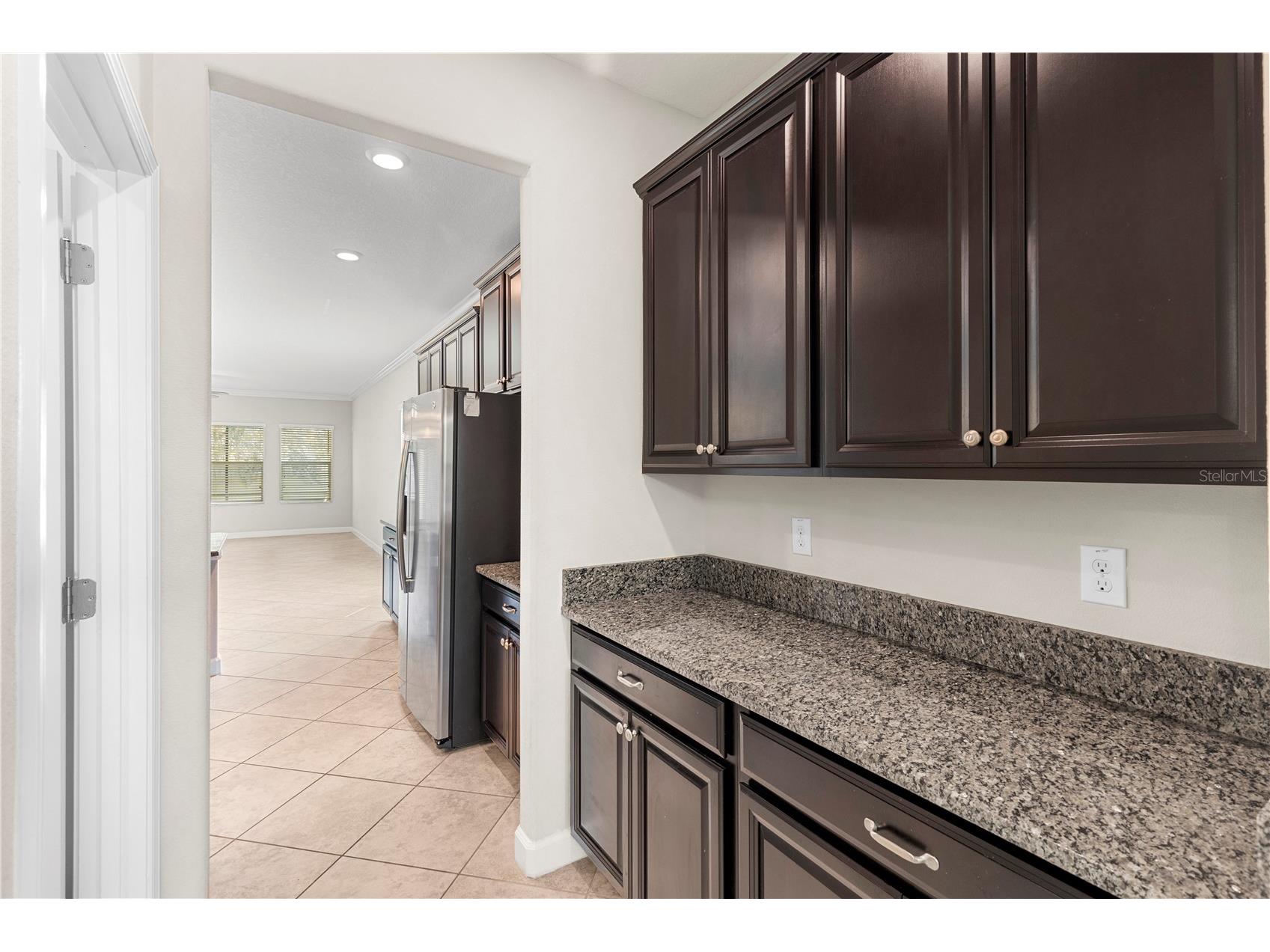 3147 Calvano Drive Land O Lakes FL 34639 TB8521177 image5