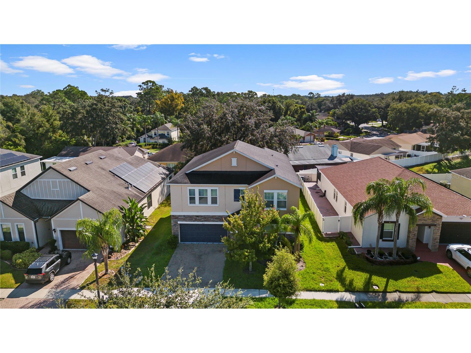 3147 Calvano Drive Land O Lakes FL 34639 TB8521177 image54