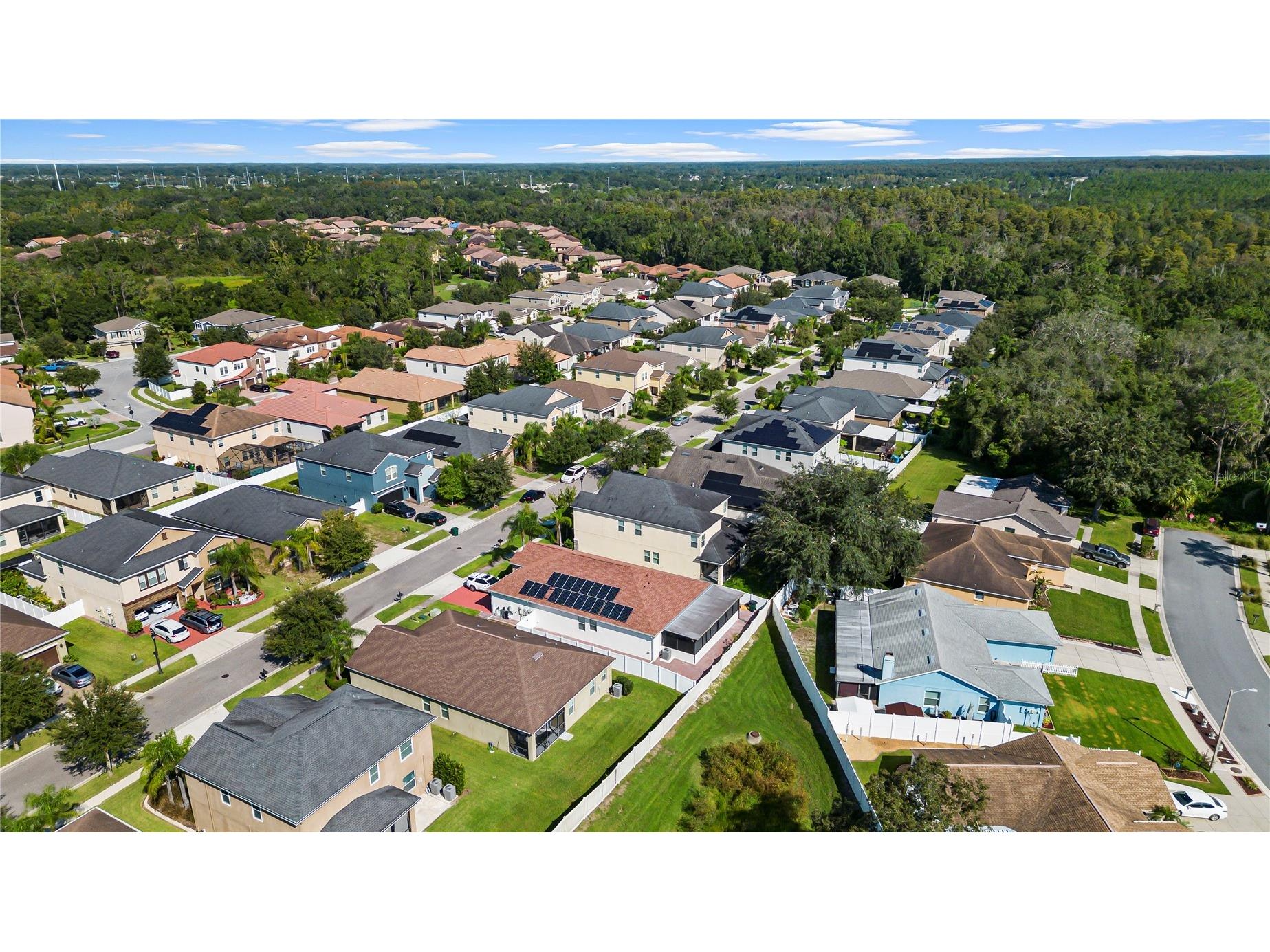 3147 Calvano Drive Land O Lakes FL 34639 TB8521177 image55