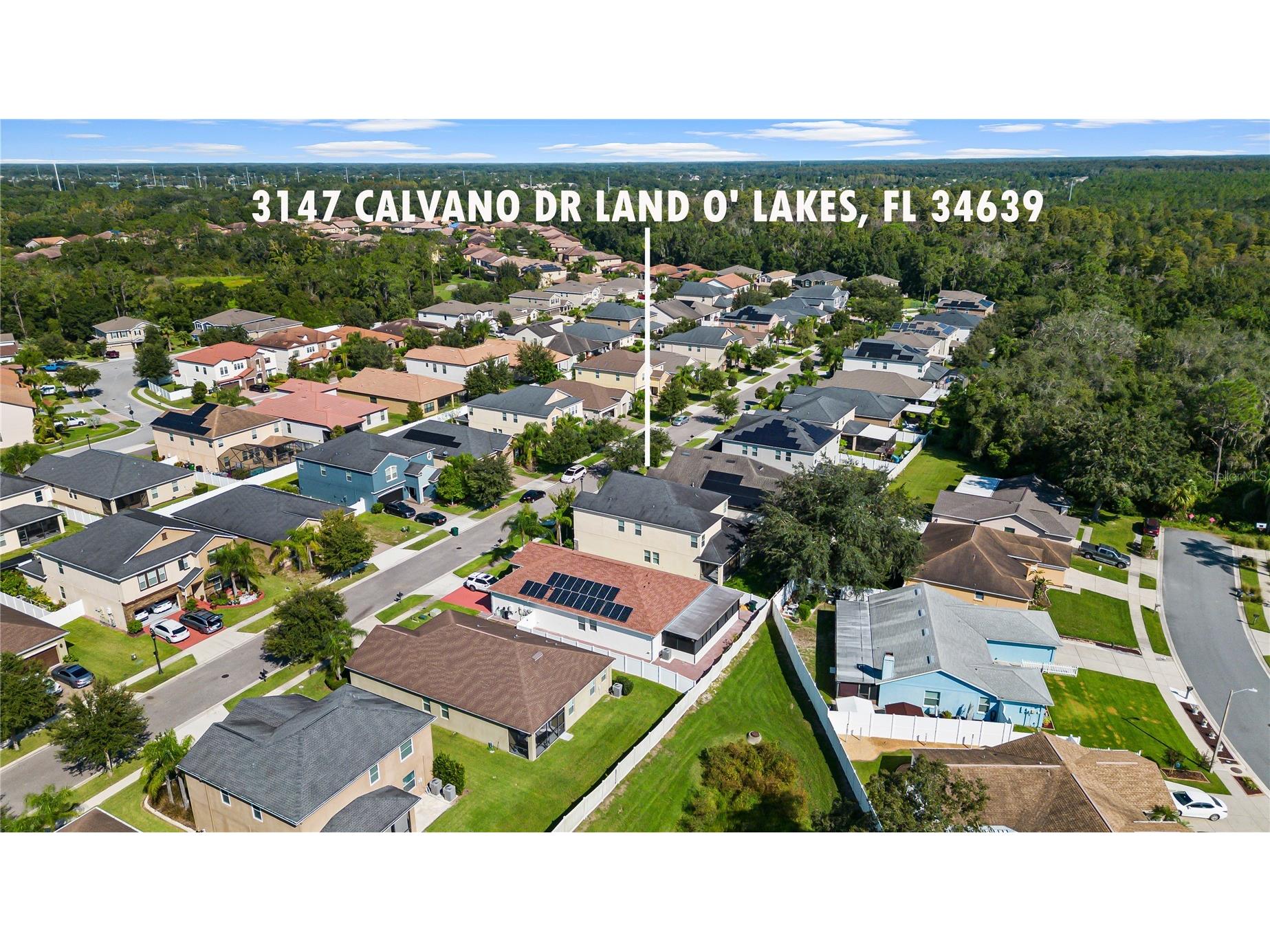 3147 Calvano Drive Land O Lakes FL 34639 TB8521177 image56