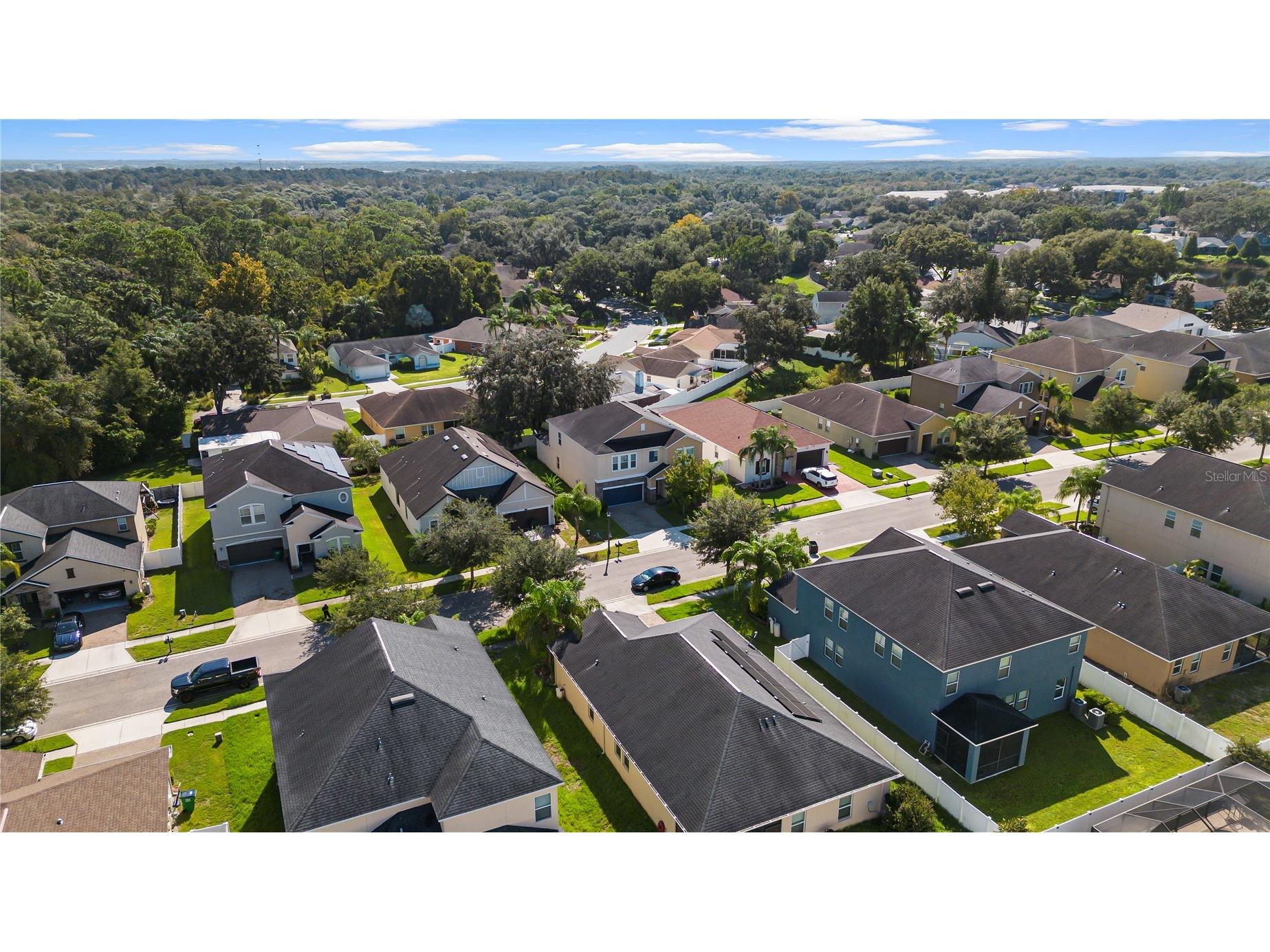 3147 Calvano Drive Land O Lakes FL 34639 TB8521177 image57