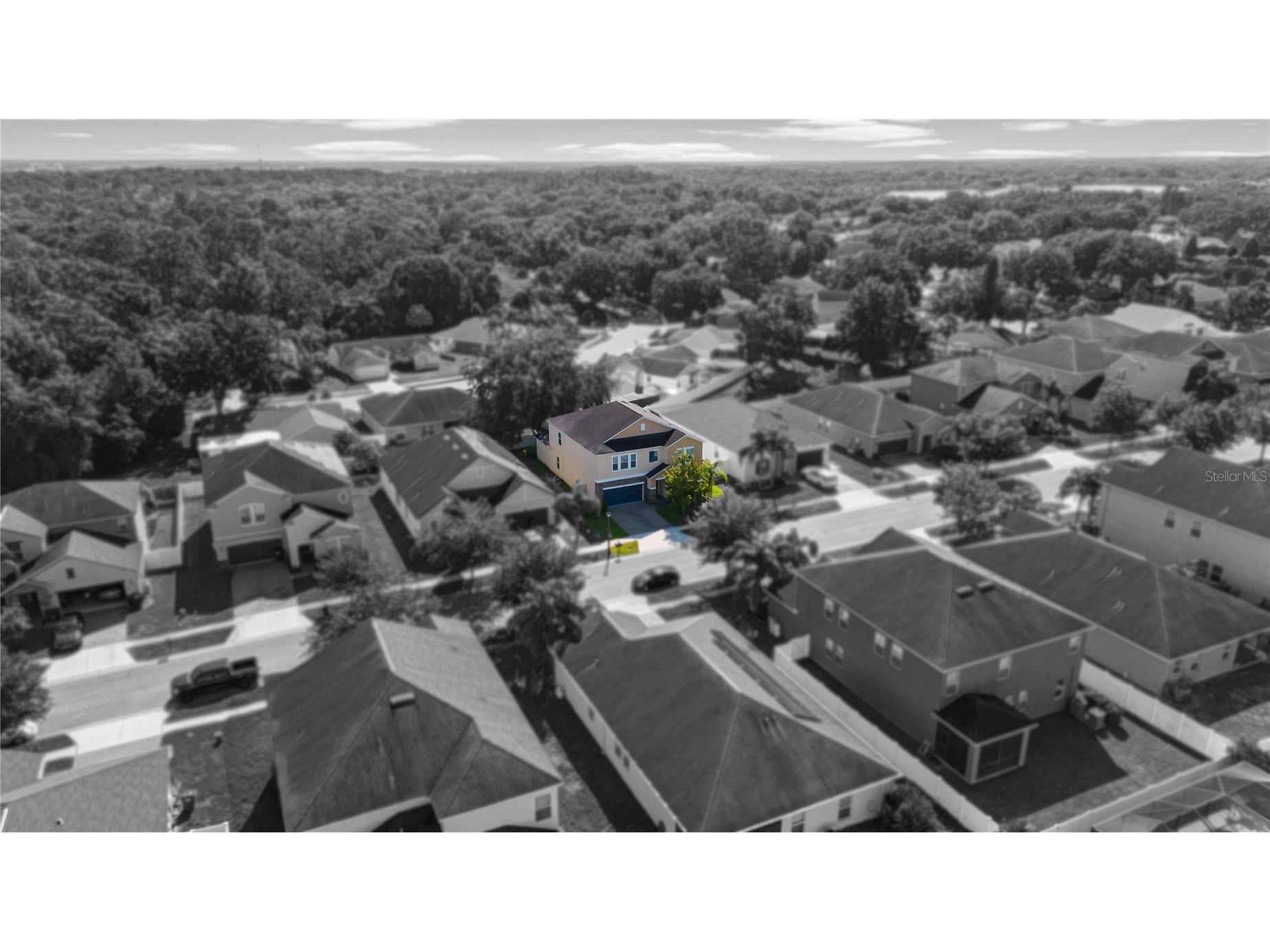 3147 Calvano Drive Land O Lakes FL 34639 TB8521177 image58