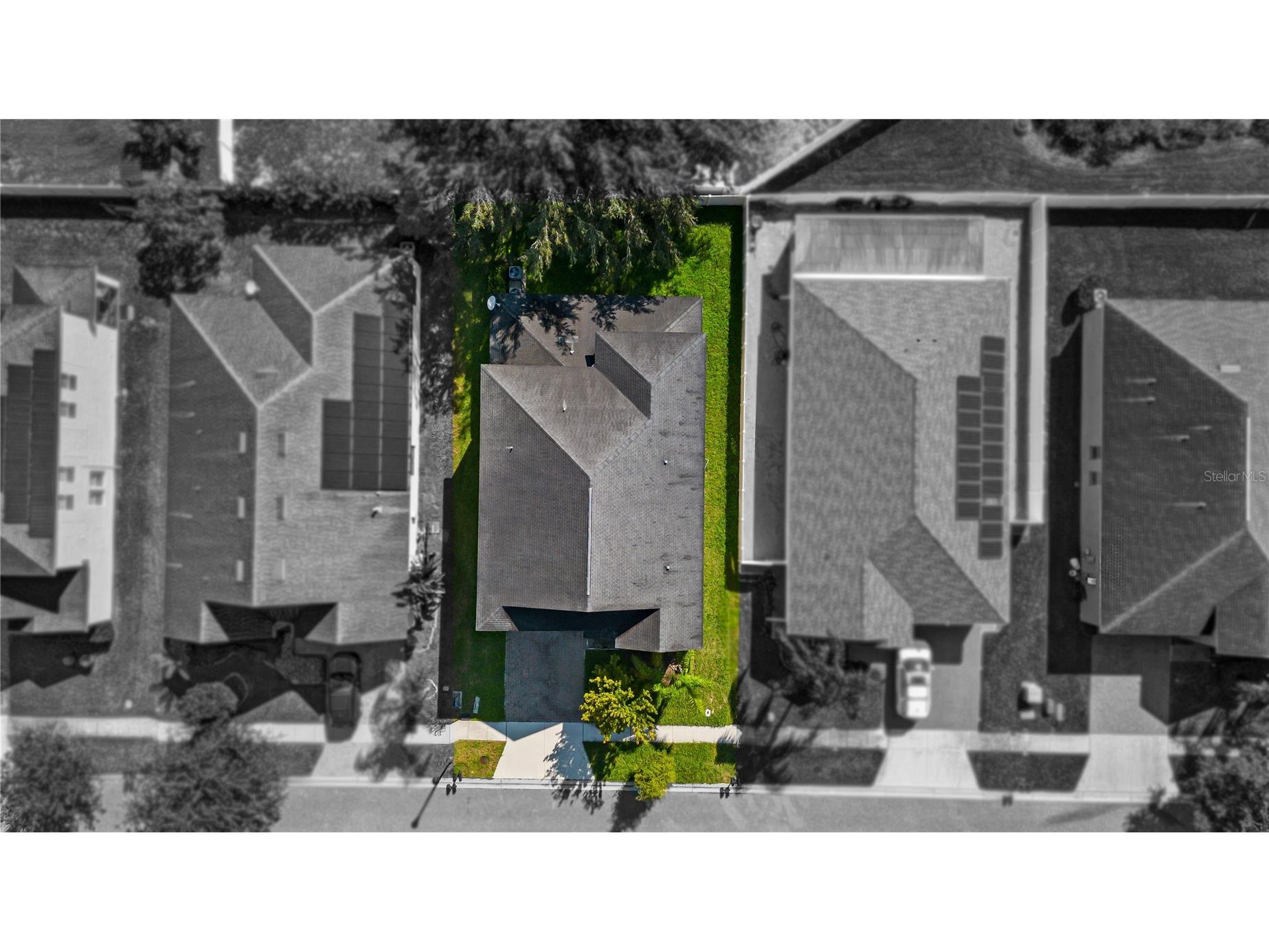 3147 Calvano Drive Land O Lakes FL 34639 TB8521177 image60
