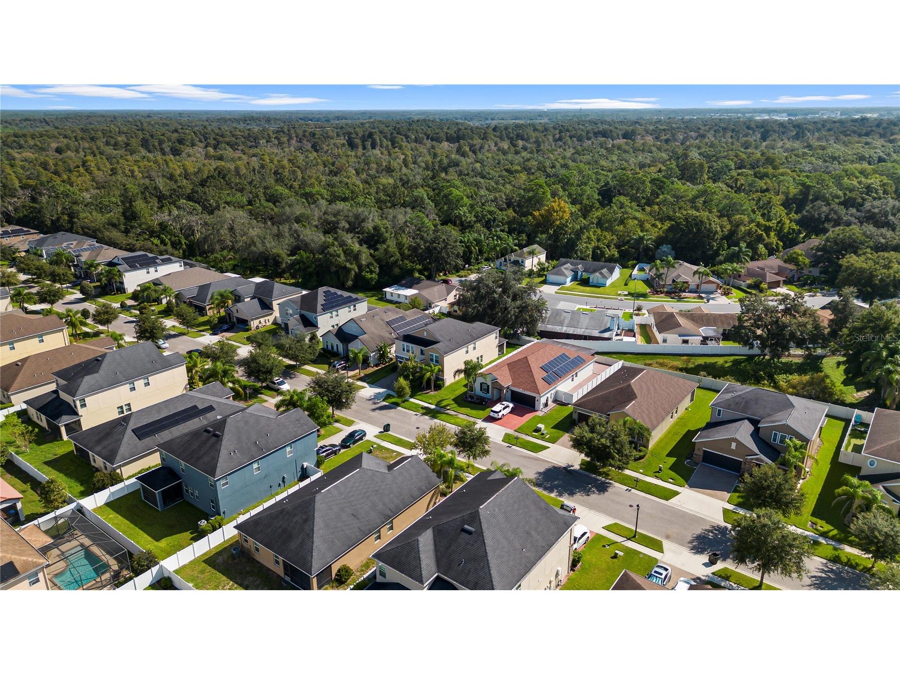 3147 Calvano Drive Land O Lakes FL 34639 TB8521177 image61