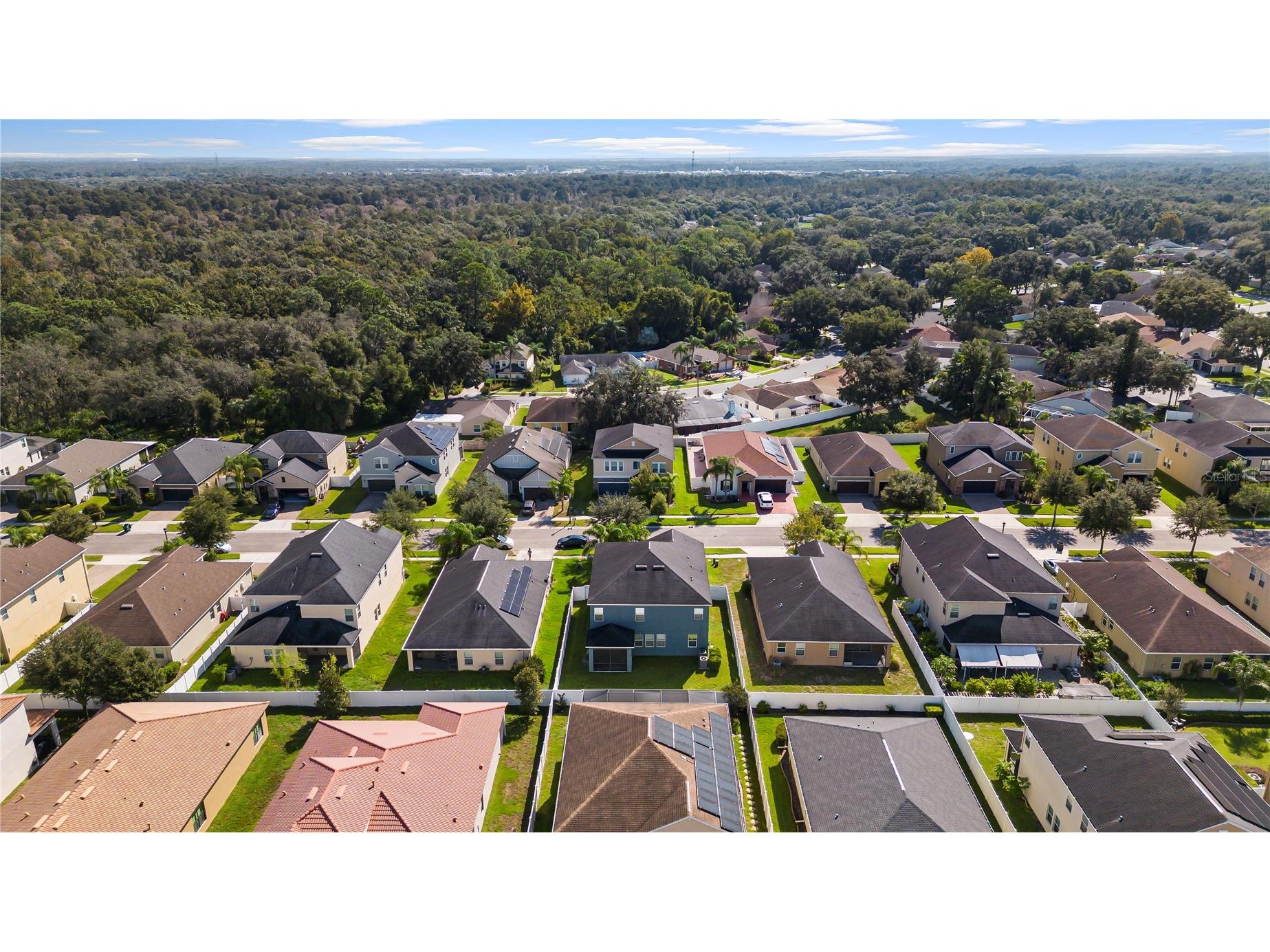 3147 Calvano Drive Land O Lakes FL 34639 TB8521177 image62