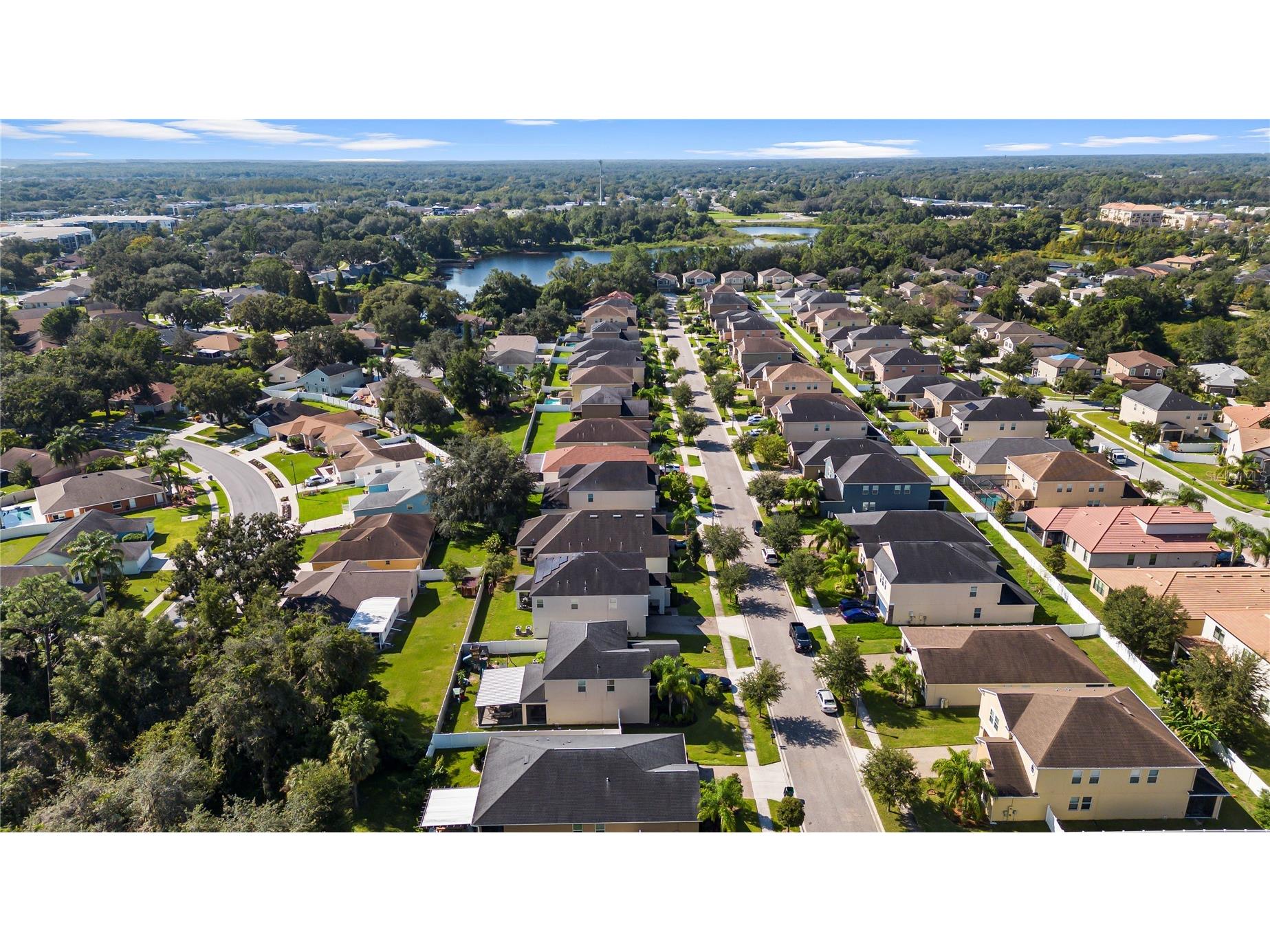 3147 Calvano Drive Land O Lakes FL 34639 TB8521177 image63