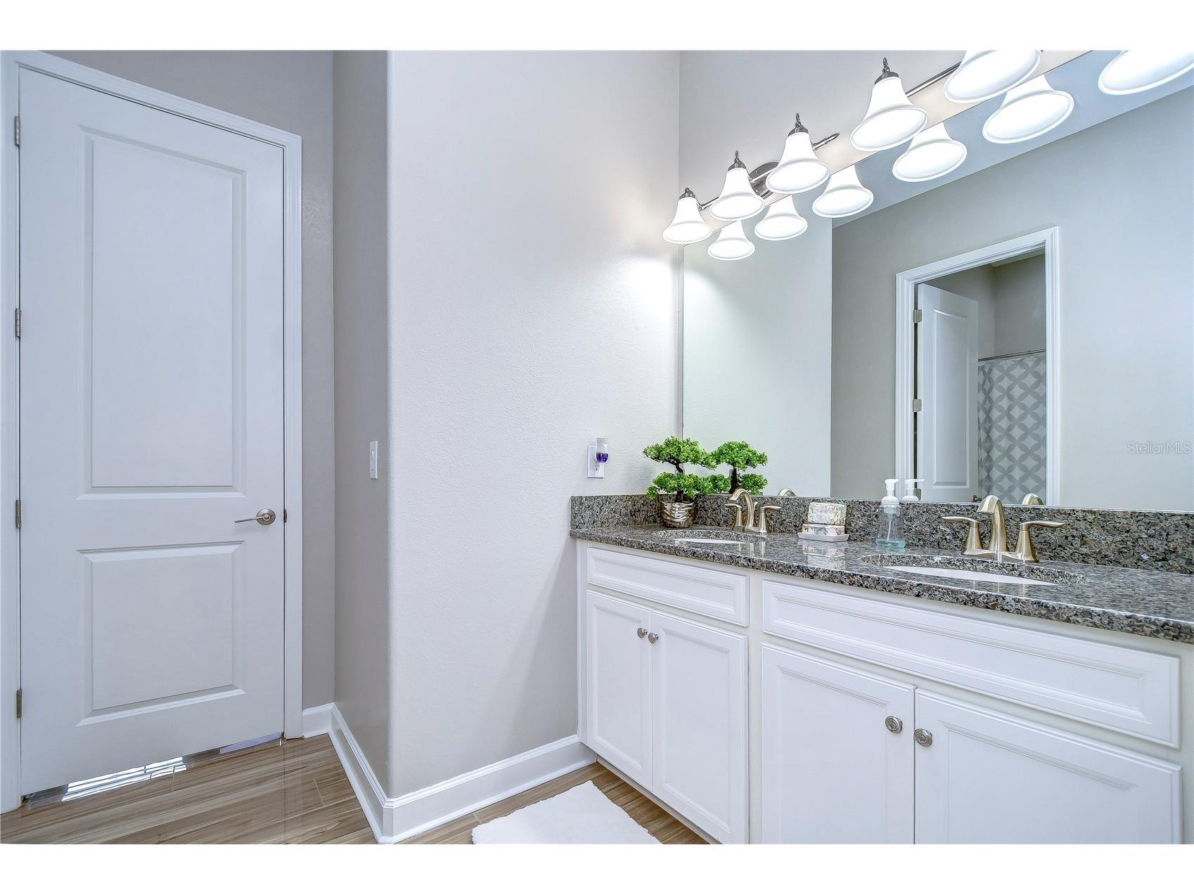 31470 Fairhill Drive Wesley Chapel FL 33543 TB8517311 image15