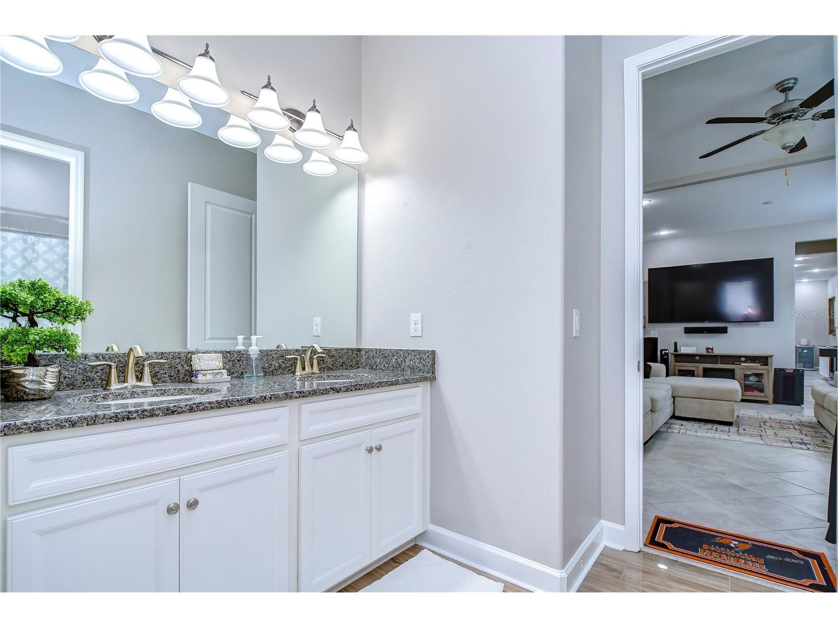 31470 Fairhill Drive Wesley Chapel FL 33543 TB8517311 image16
