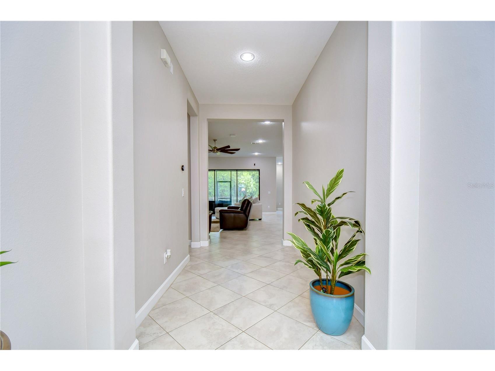 31470 Fairhill Drive Wesley Chapel FL 33543 TB8517311 image41