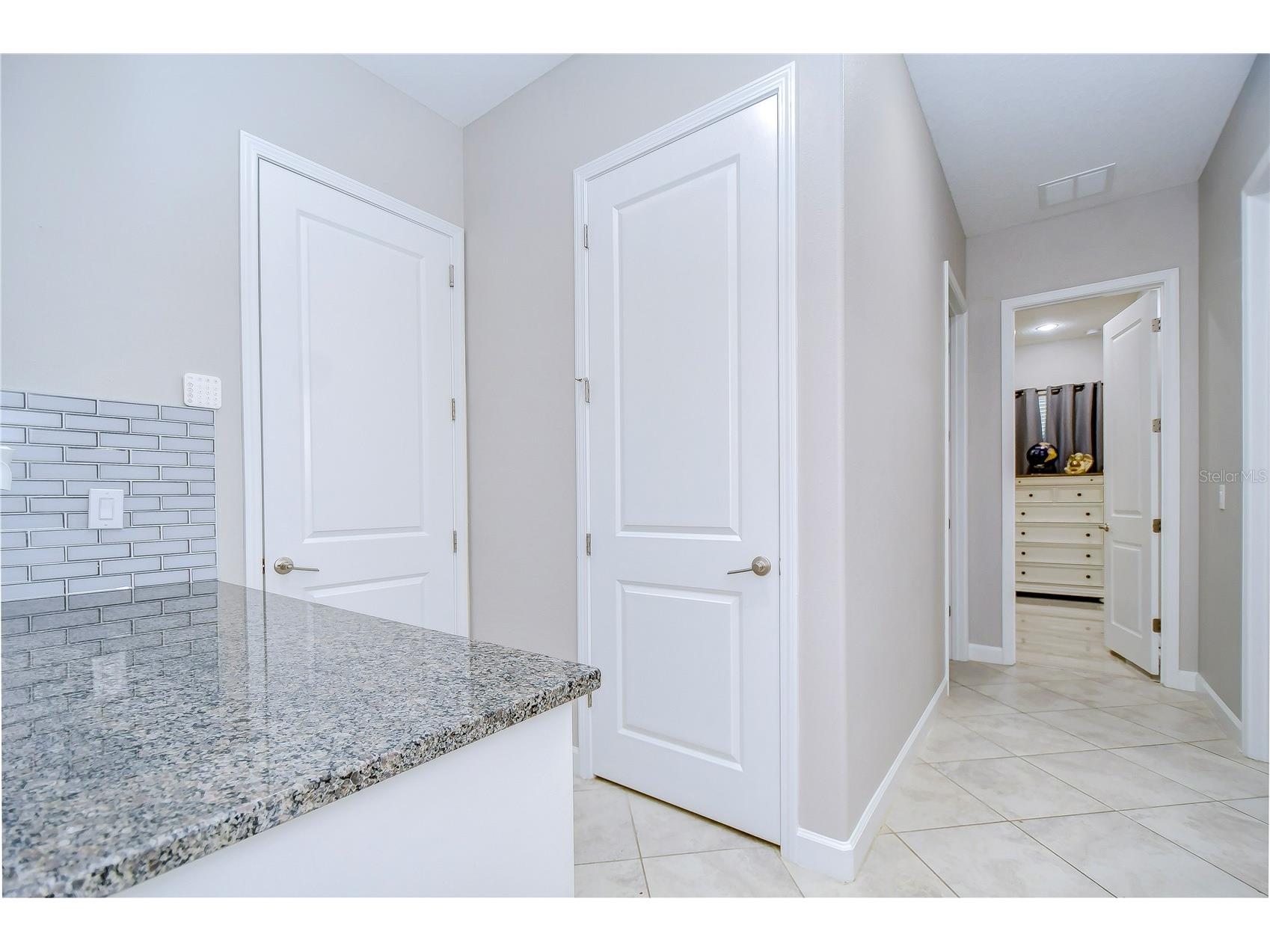 31470 Fairhill Drive Wesley Chapel FL 33543 TB8517311 image42