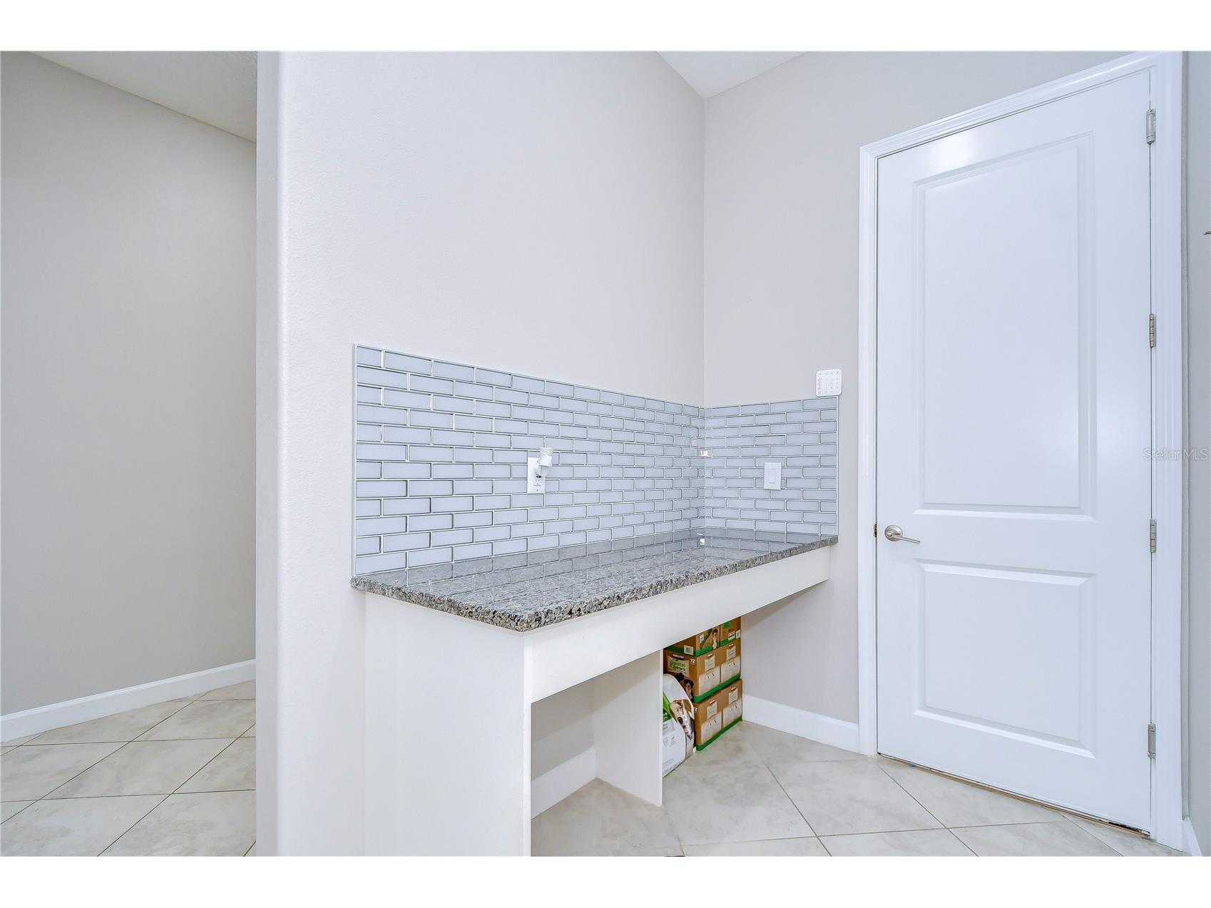 31470 Fairhill Drive Wesley Chapel FL 33543 TB8517311 image43