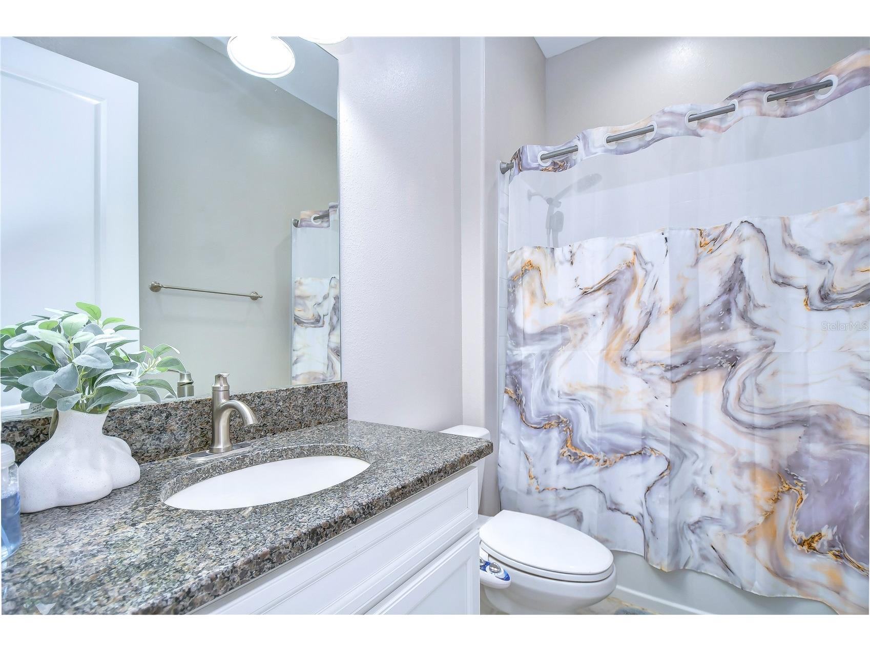 31470 Fairhill Drive Wesley Chapel FL 33543 TB8517311 image45