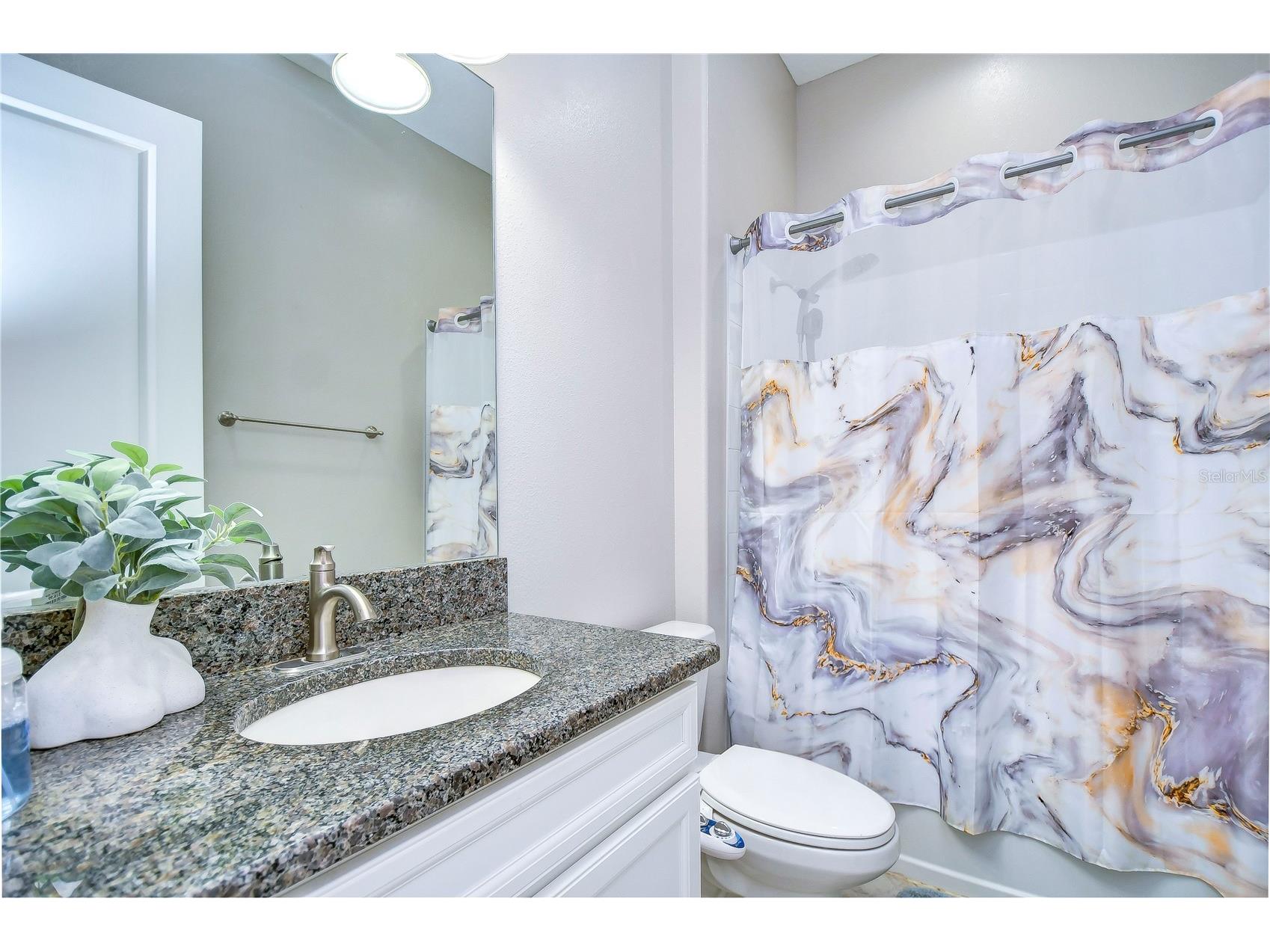 31470 Fairhill Drive Wesley Chapel FL 33543 TB8517311 image46